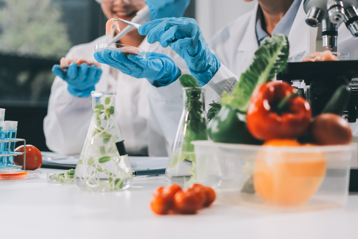 FOOD BIOTECHNOLOGY期刊：探索食品科学的前沿