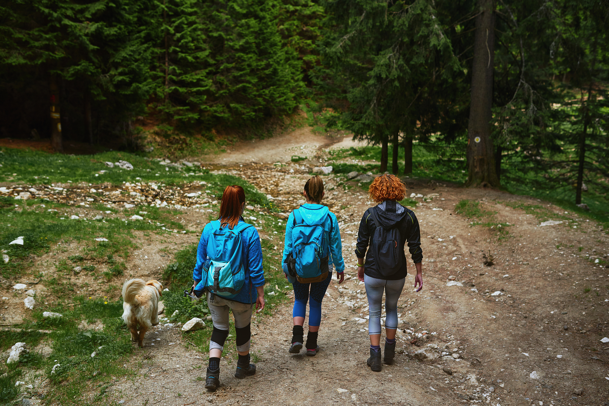 打造什么的旅游目的地形象