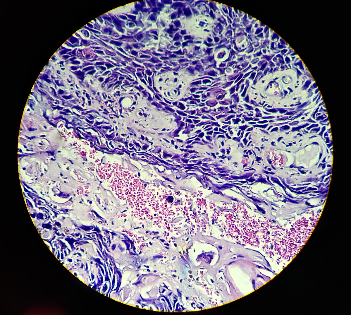 江西陶瓷工艺美术职业技术学院产品艺术设计专业涉及哪些课程