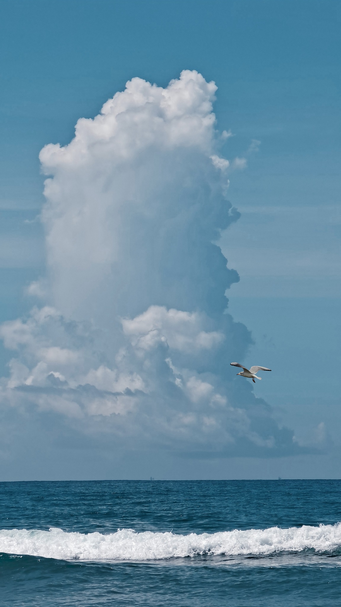 写篇500字生活应该温柔及时行乐肆意风声。的旅游短视频治愈文案