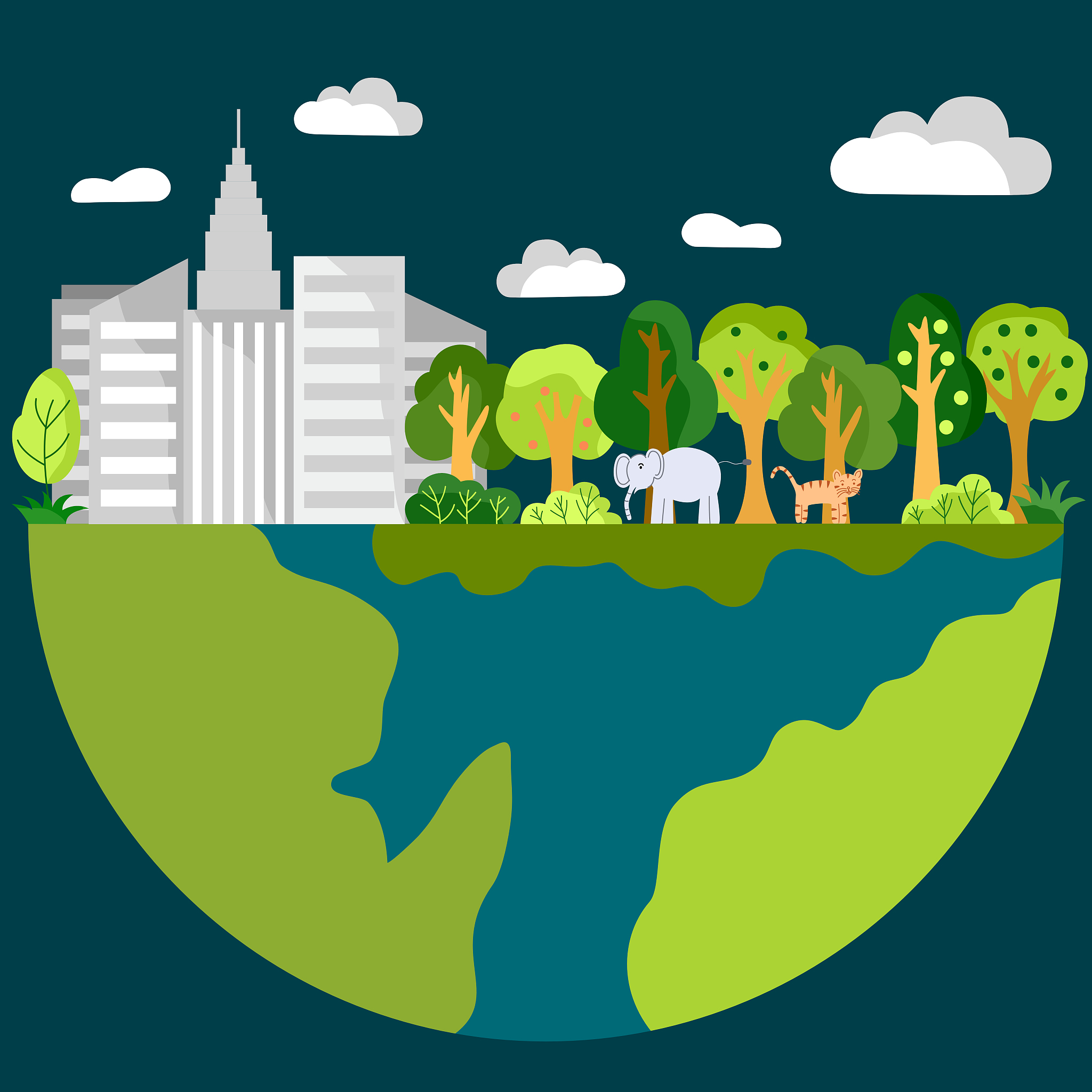 大学生如何助力建设美丽中国：环境保护、科技创新与文化传承