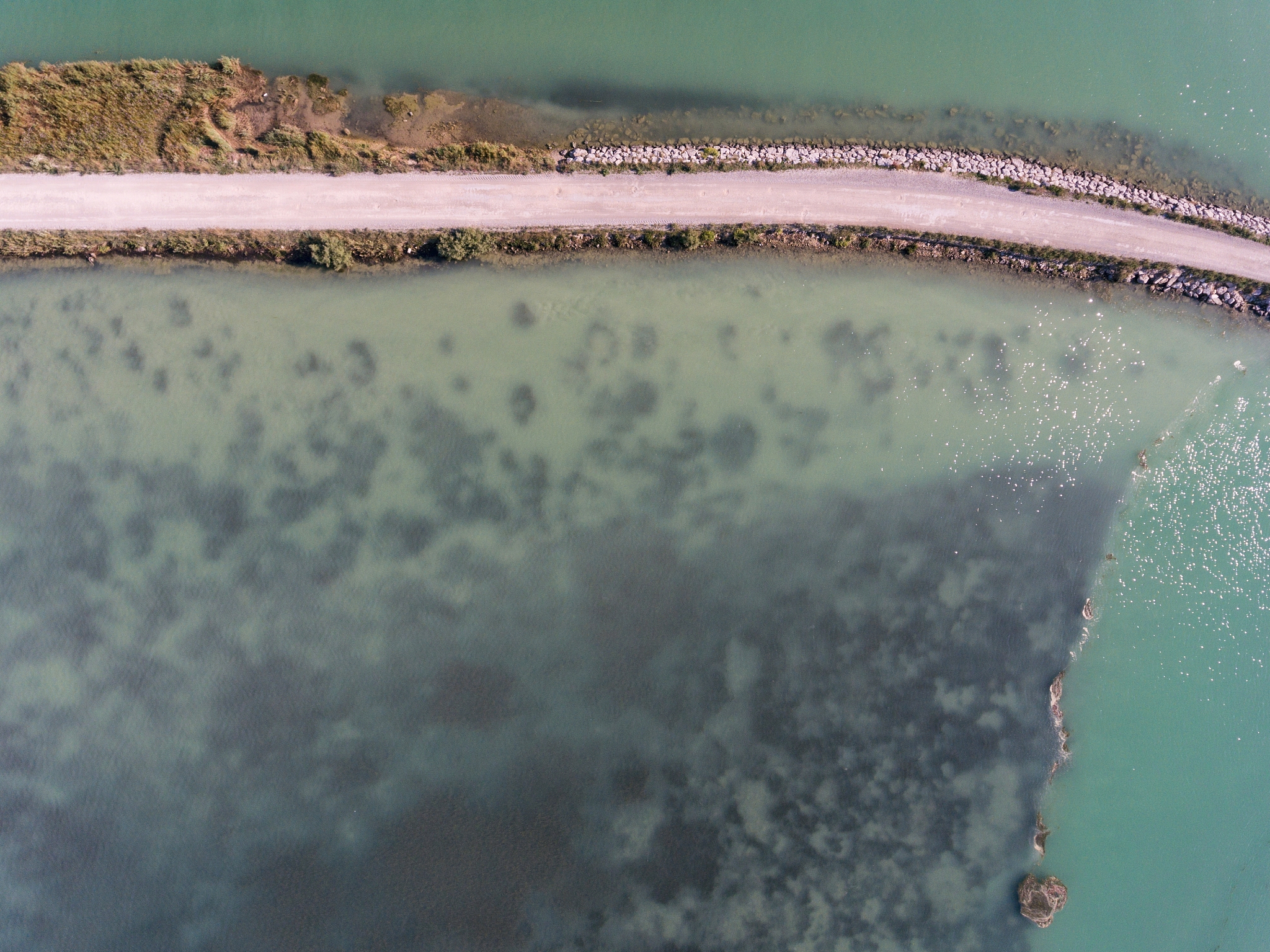 Sequence Diagram of VcWOX Genes Targeted by miR535, miR399, and miR156