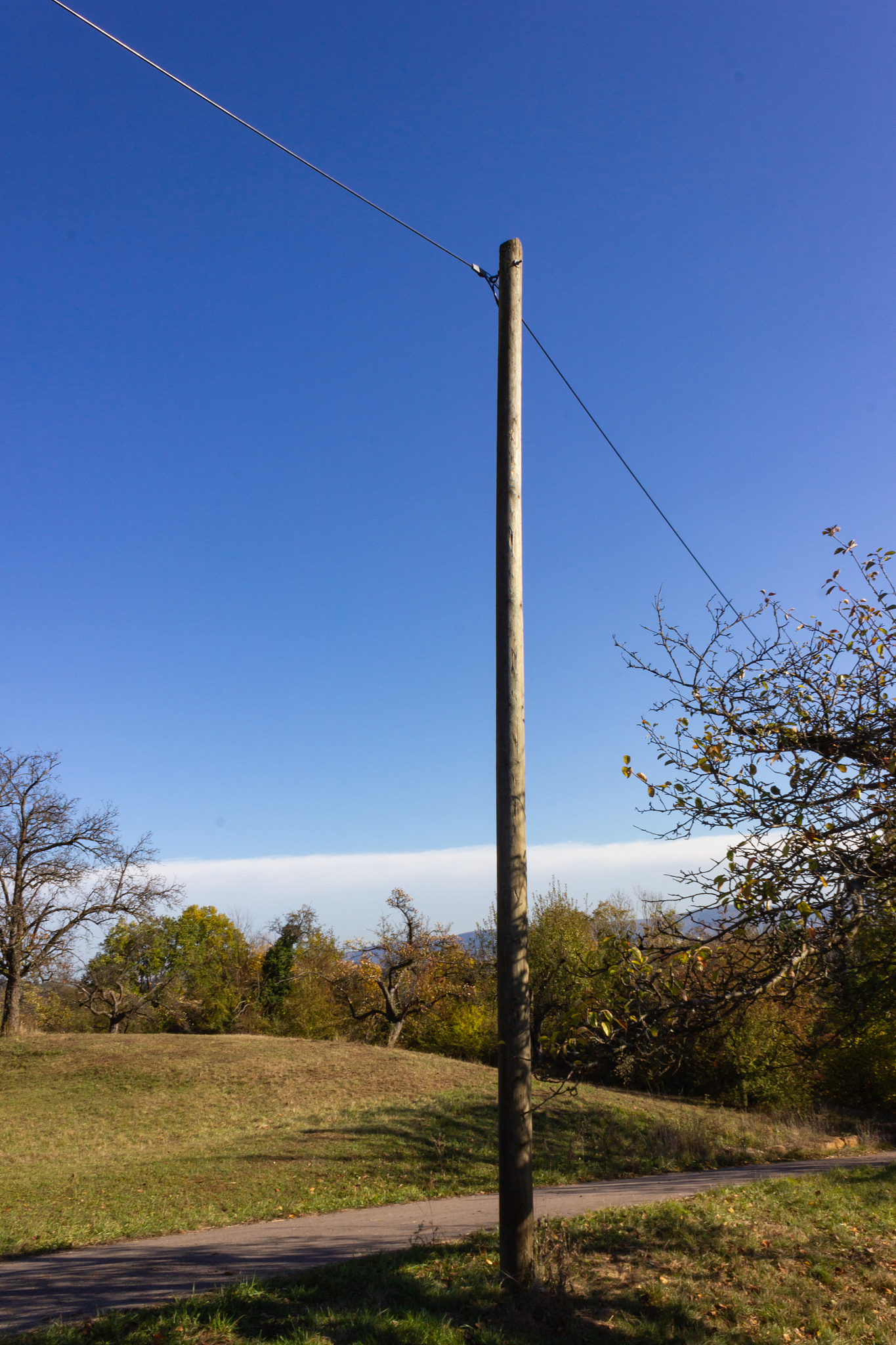 power pole and cable at autumn in germany