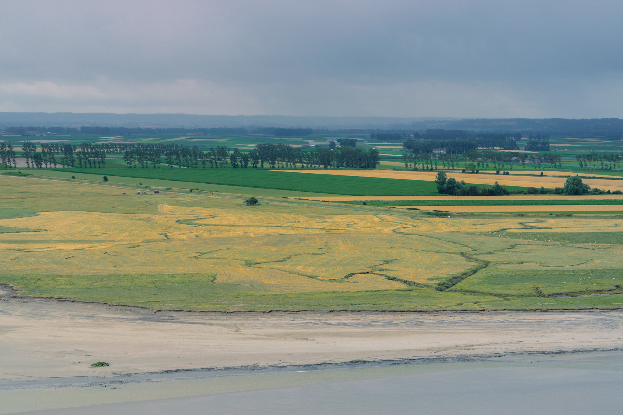 seaside farmland
