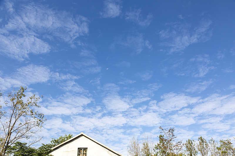 12科学发展观第一要义是 。单选题 6 分 A以人为本 B发展 C全面、协调、可持续 D统筹兼顾13建设创新型国家 是核心。单选题 7 分 A发展教育 B发展科技 C发展生产 D优秀人才14科学发展观强调社会主义民主政治的本质和核心是 。单选题 7 分 A人民当家作主 B党的领导 C依法治国 D政治体制改革15胡锦涛明确指出 是中国特色社会主义的本质属性。单选题 7
