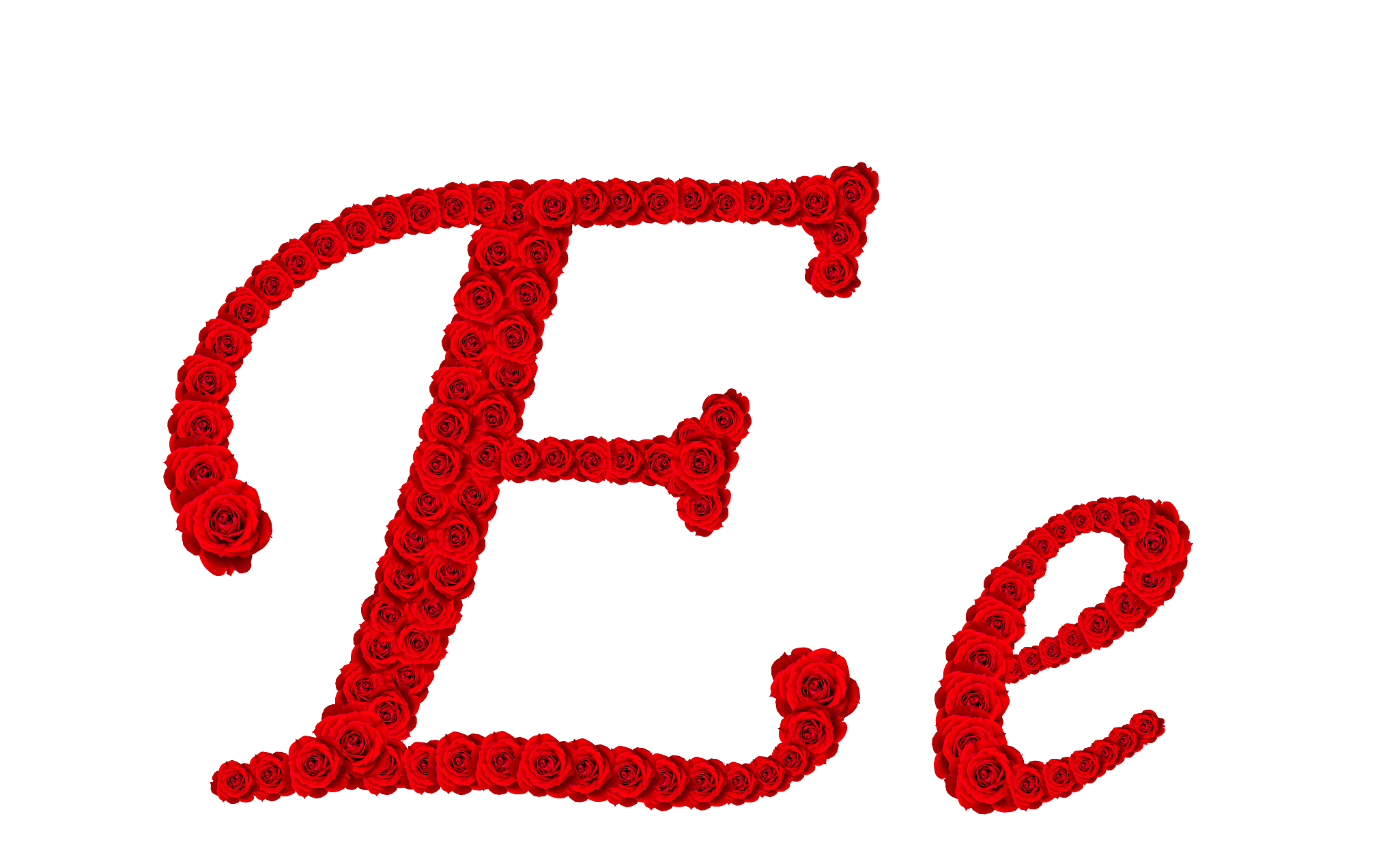 alphabet letter e and e made from red rose blossoms