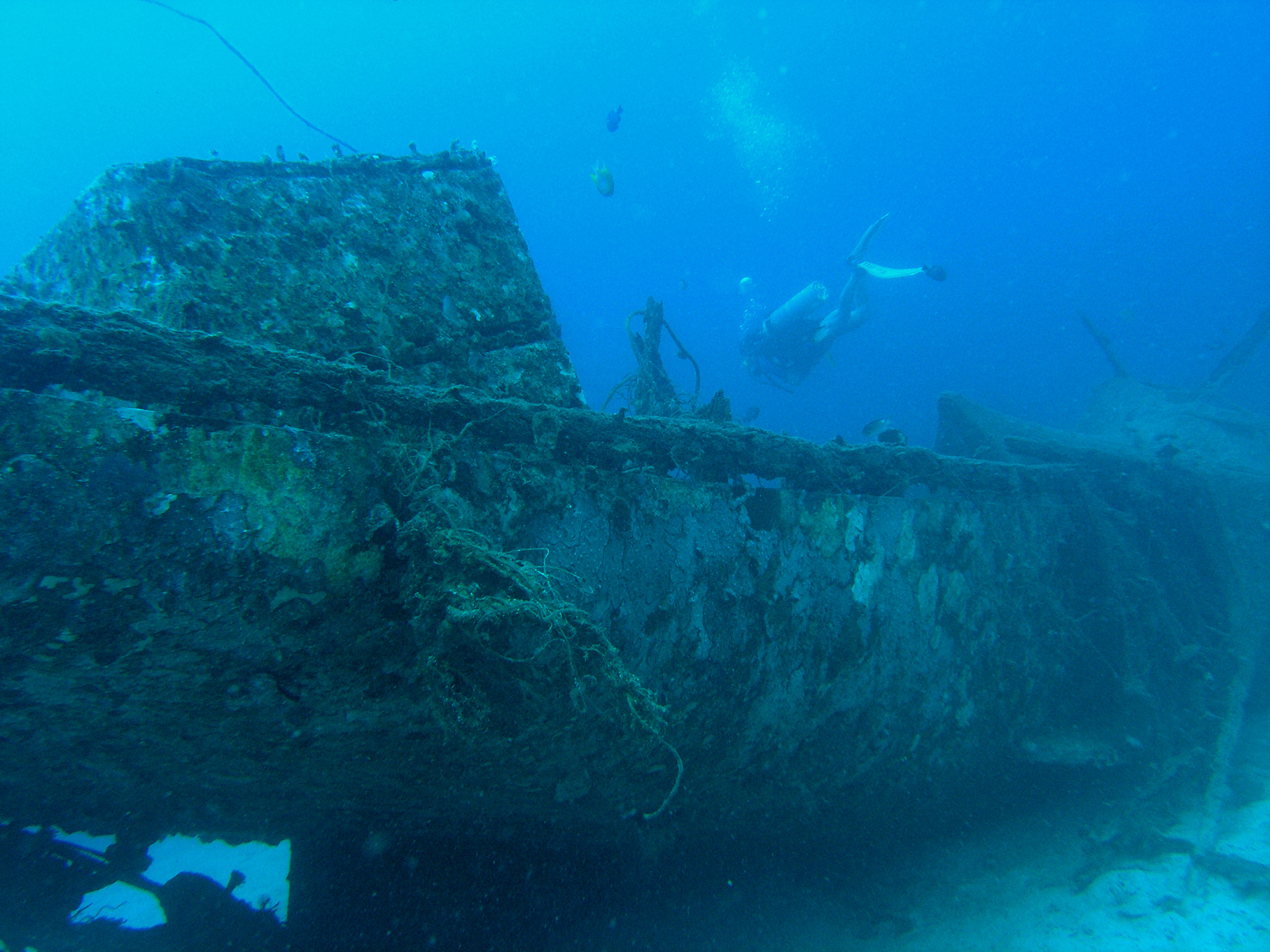 scuba diving