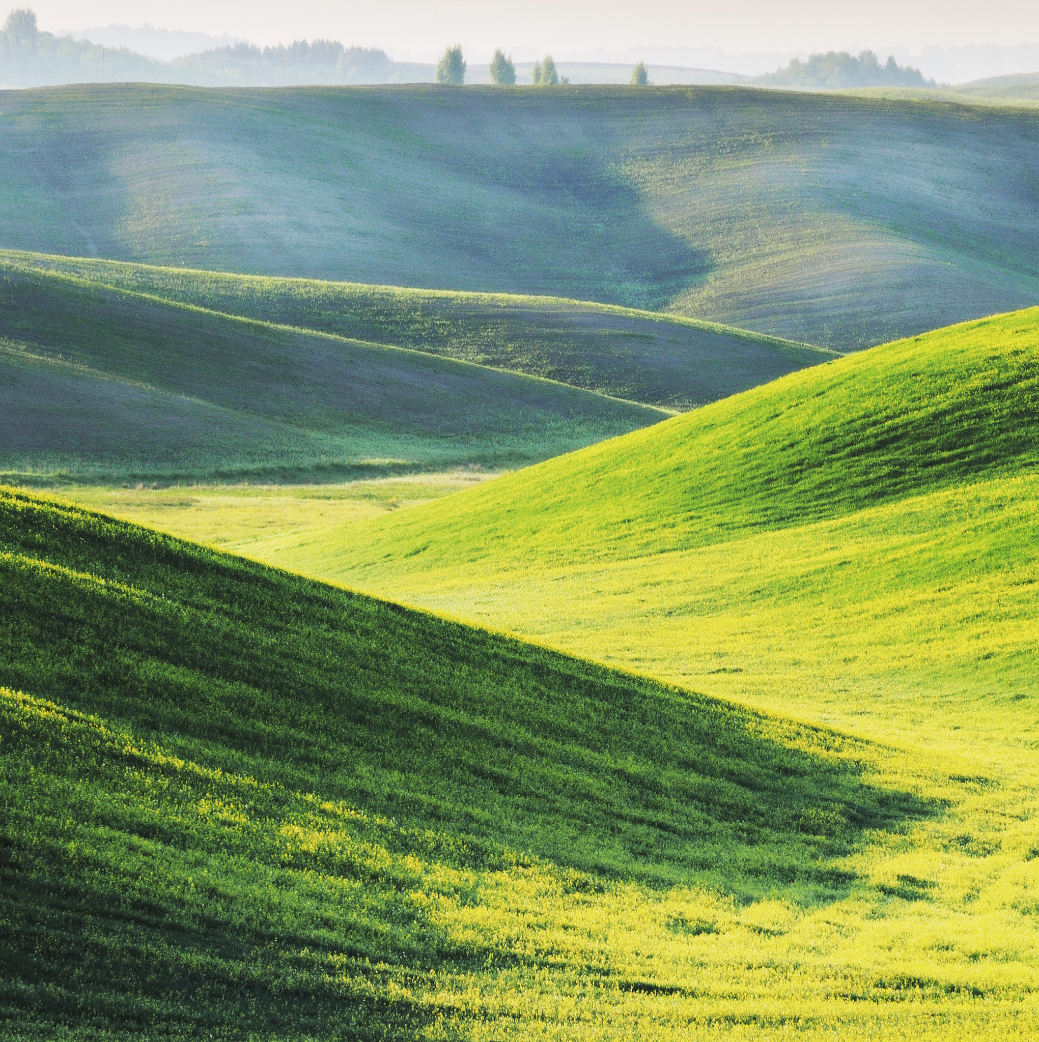 field