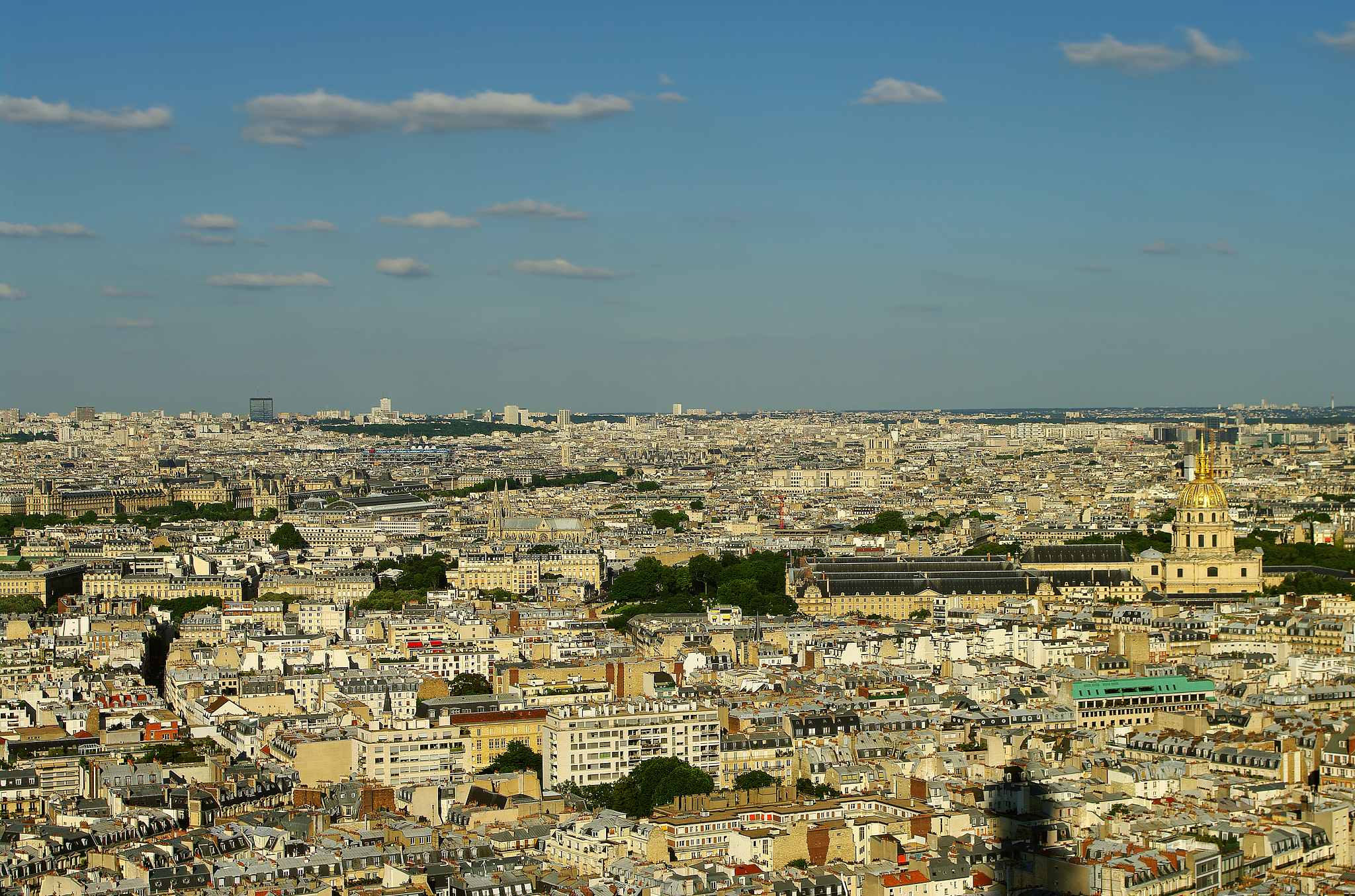paris birds view from eifell tower