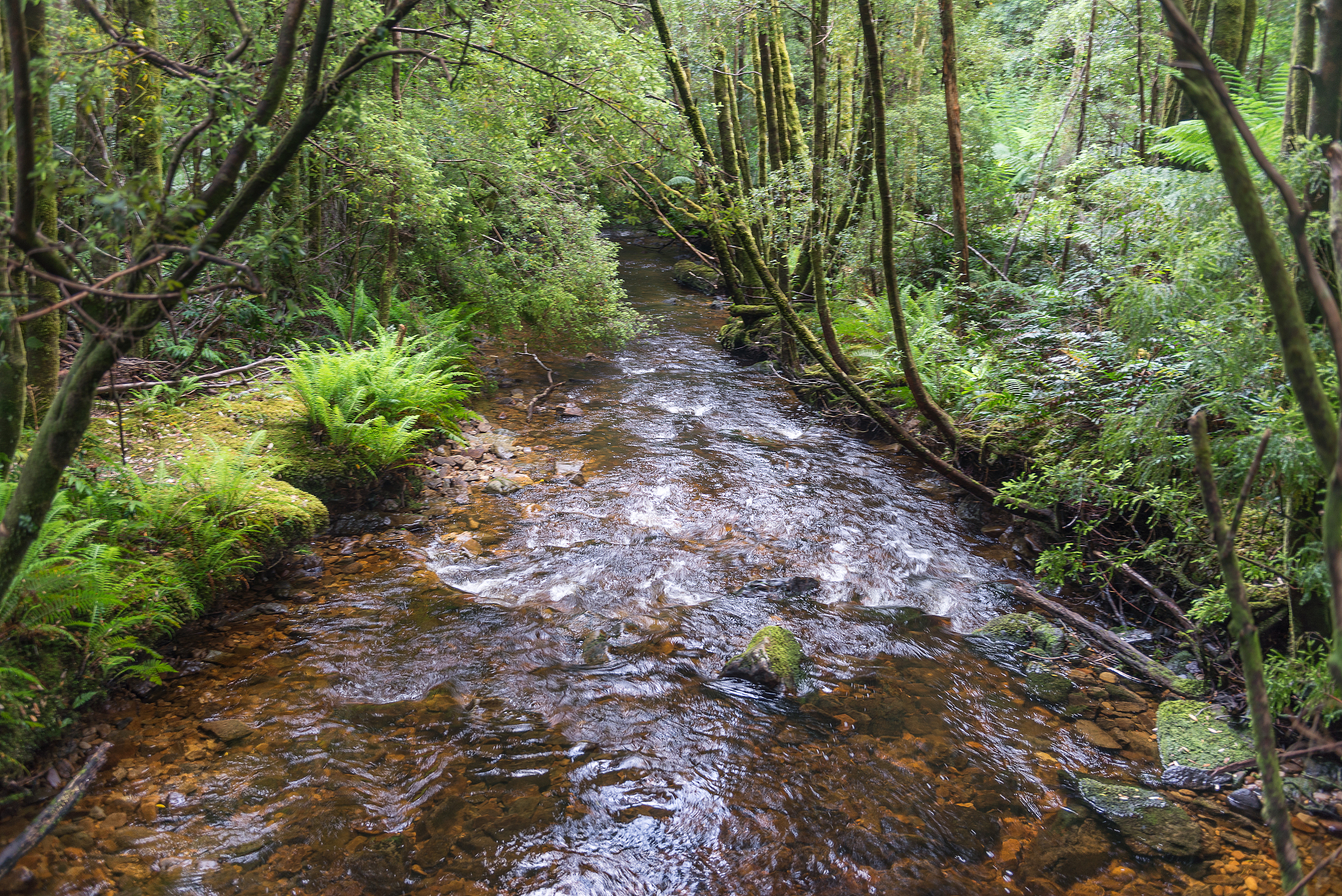 小溪流水响叮咚 教学设计