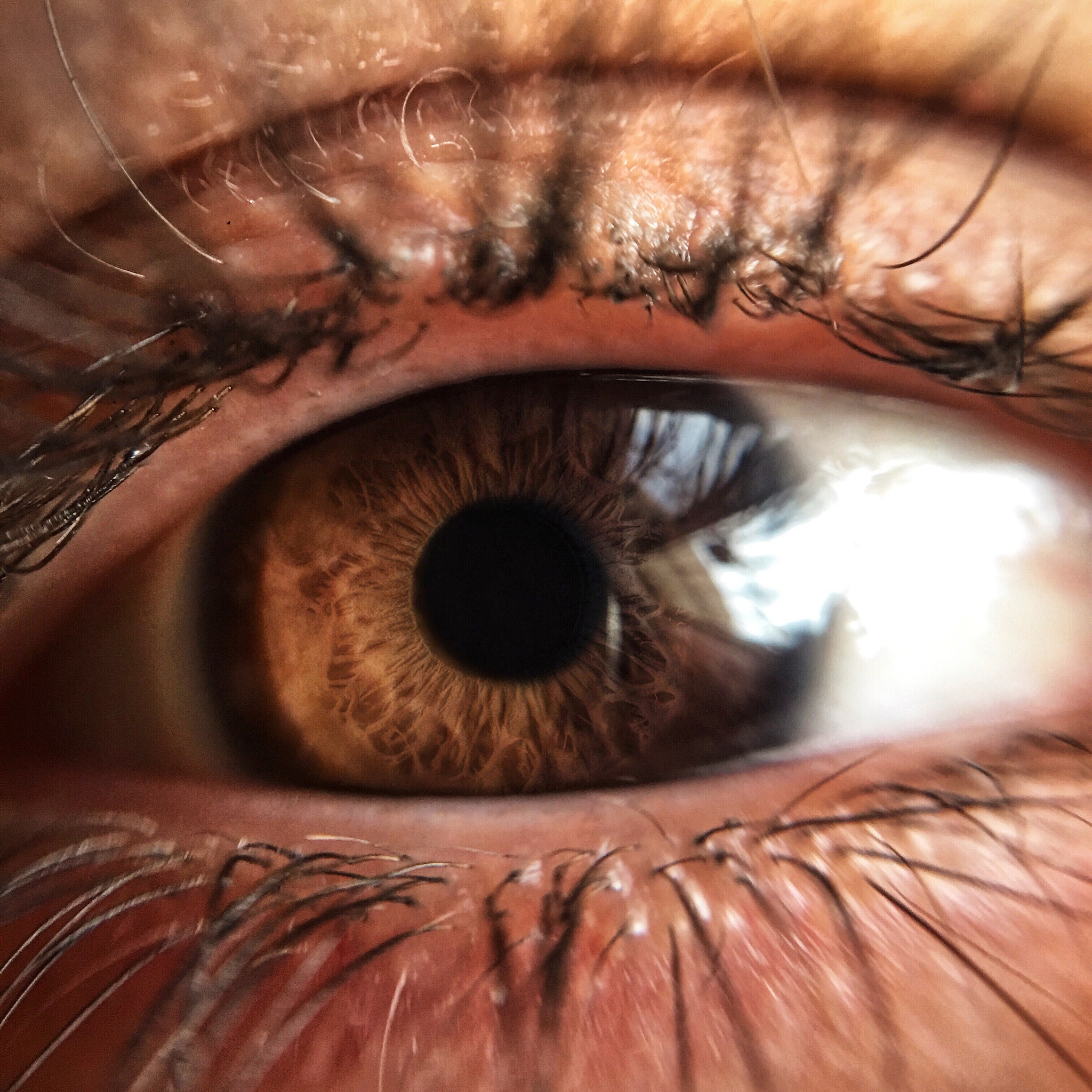 close-up portrait of human eye