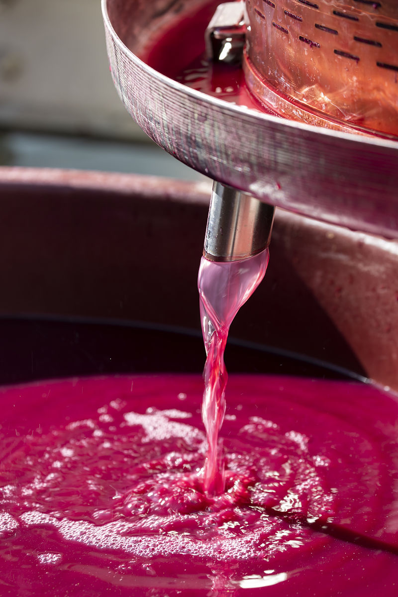 葡萄酒的酿制方法的做法_葡萄酒的酿制方法葡萄可以泡酒吗？把我的泡酒心得分享给你