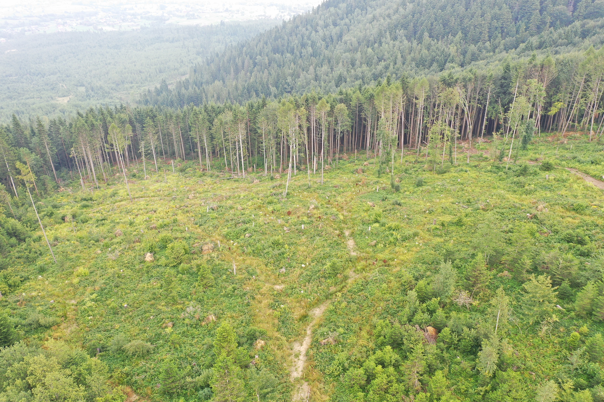 文山州的林下经济产业如何走得更长远这个检索行
