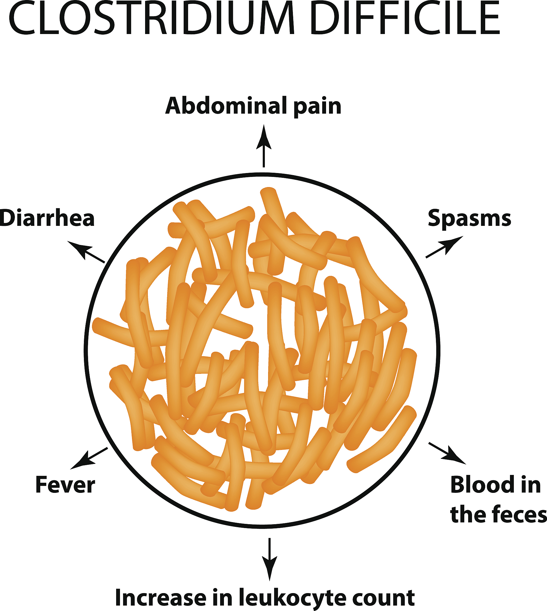 Dynamic 3D Endometrial Organoid Culture System with Perfusion in a Commercial Microfluidic Chip