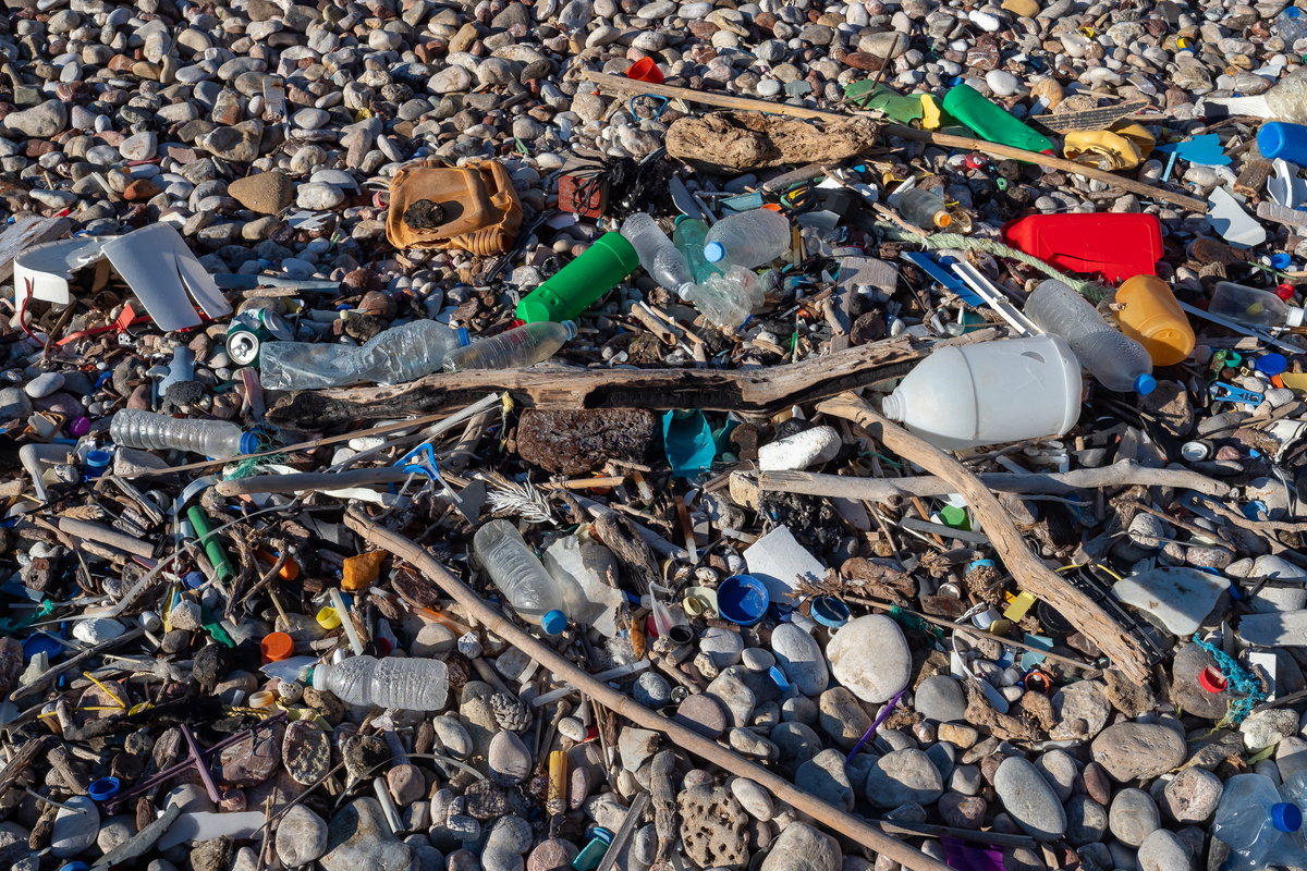 中国环境问题的重要性：经济、政治、文化三重影响