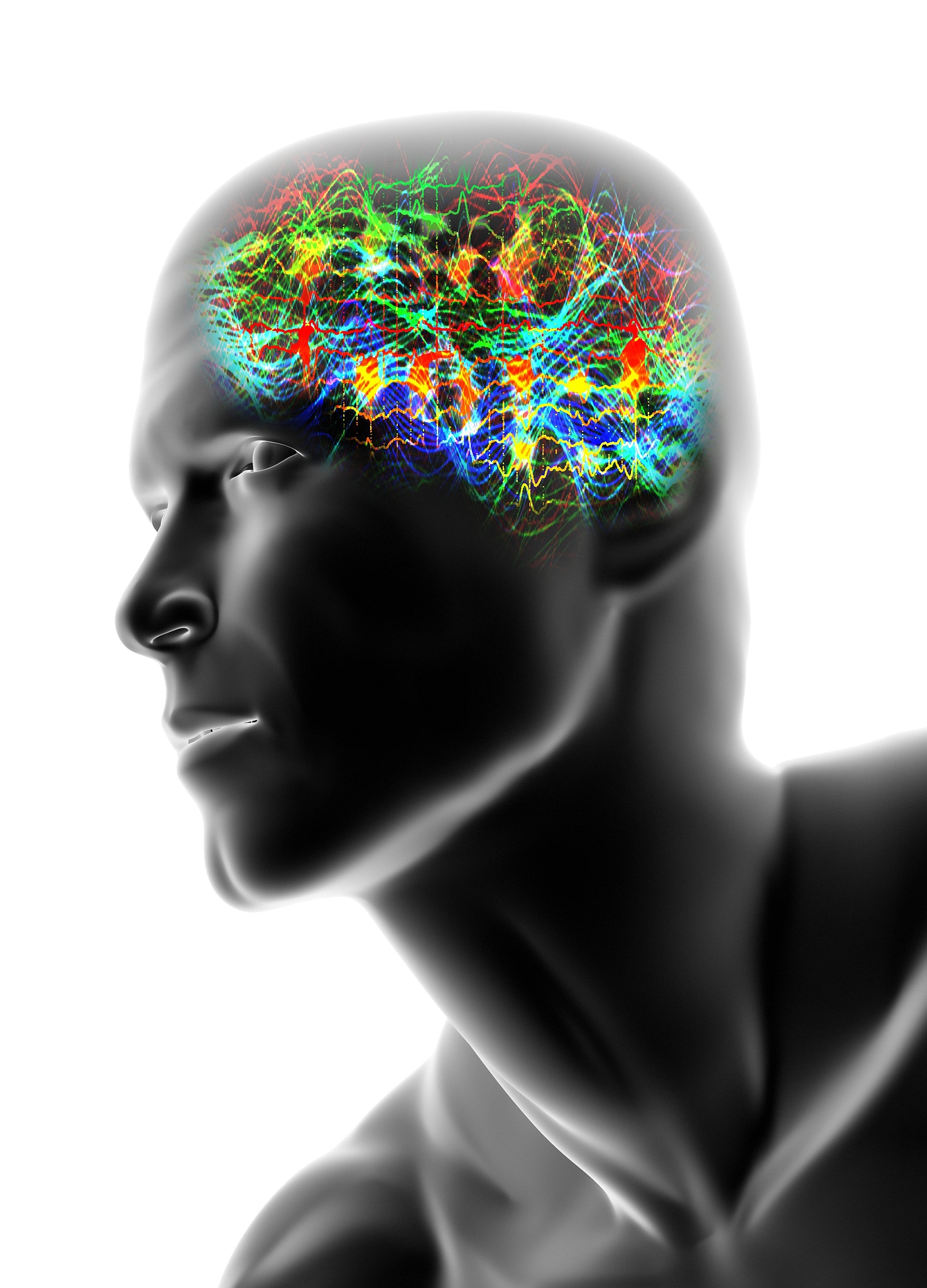 生理心理学：探索人类心理活动背后的生理机制