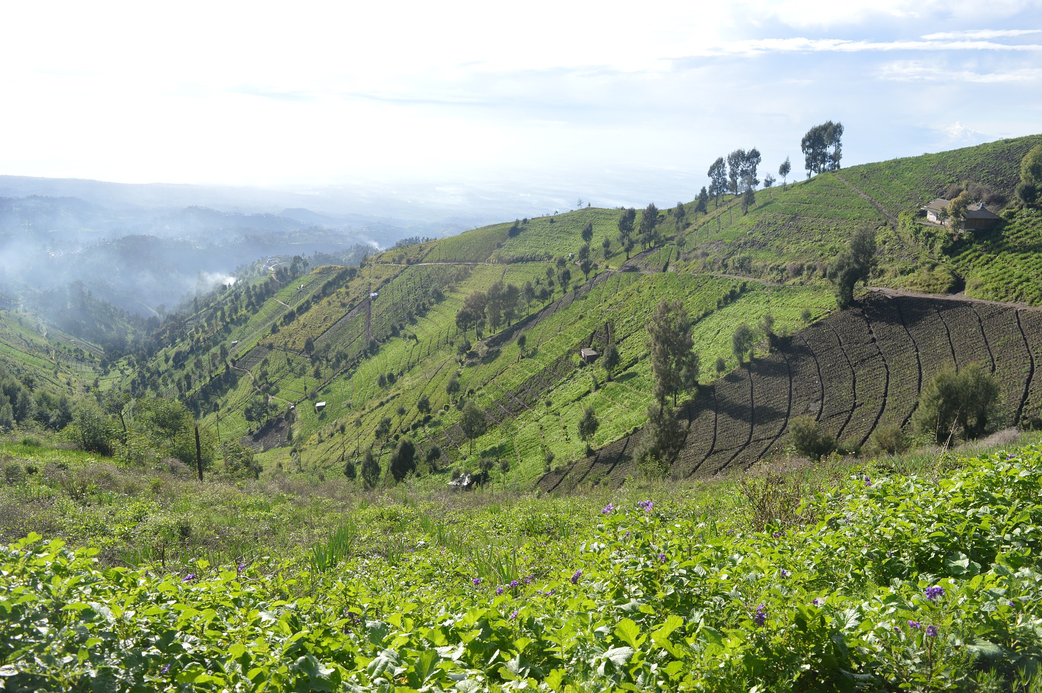 Daftar SMA Negeri di Jakarta Selatan: Pilihan Terbaik untuk Pendidikan