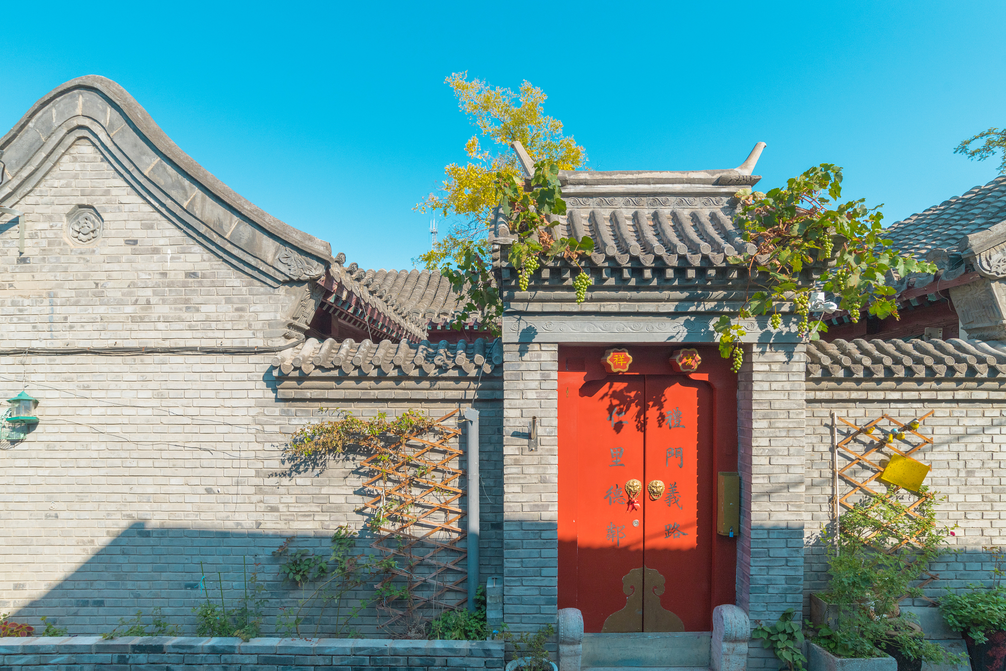 写一篇传统文化的魅力：探索中国古老的智慧