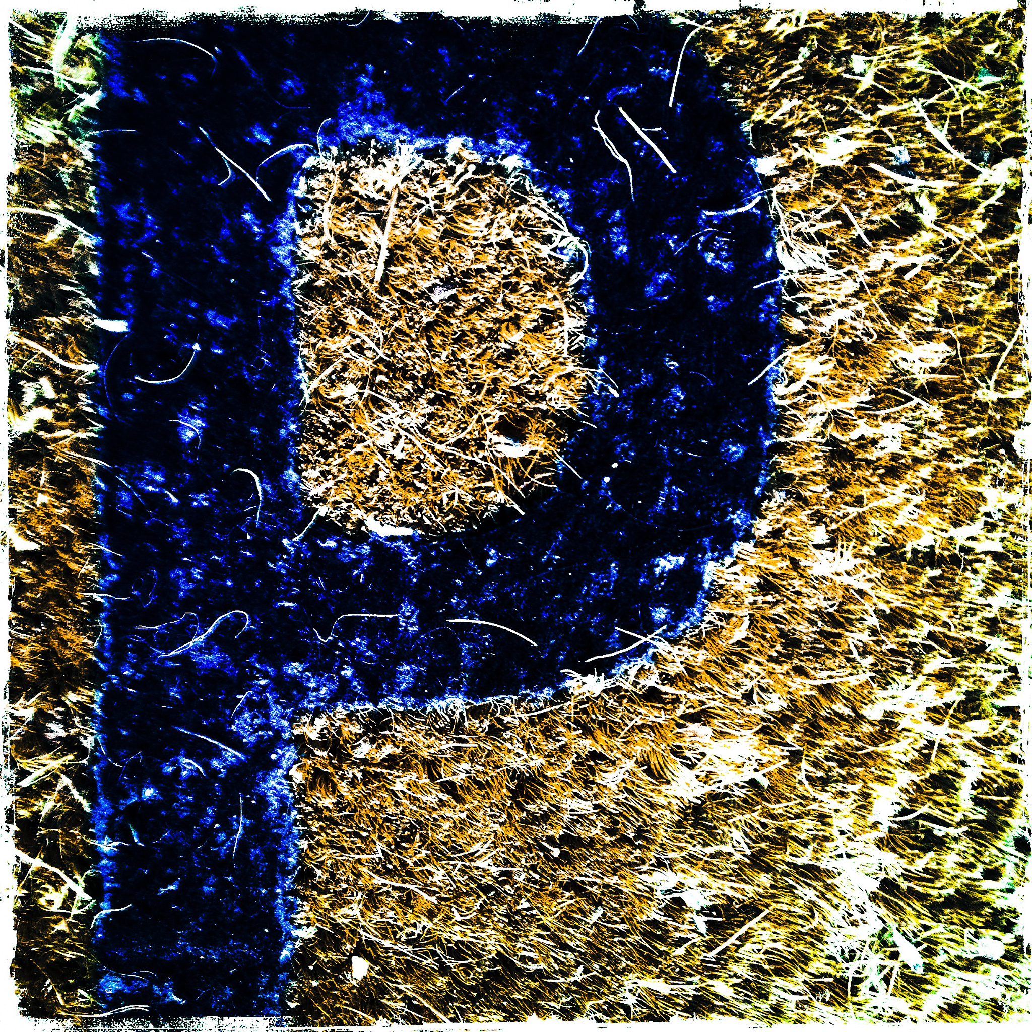 使下面这段文献表述更加学术降低论文重复率图像数据扩展成三维的置乱算法介绍：由于每个像素都由 8 个比特构成由于对图像进行比特级置乱时可以改变组成每个像素的比特的位置进而每个像素的灰度值也发生改变对应的整个图像的统计特性也随之发生了变化59-61因此也有很多研究者采用比特级的置乱算法。此类算法通常是将二维的像素分解为三维的比特数据并通过生成三维的置乱坐标完成比特矩阵的置乱如文献59中使用的是3D c