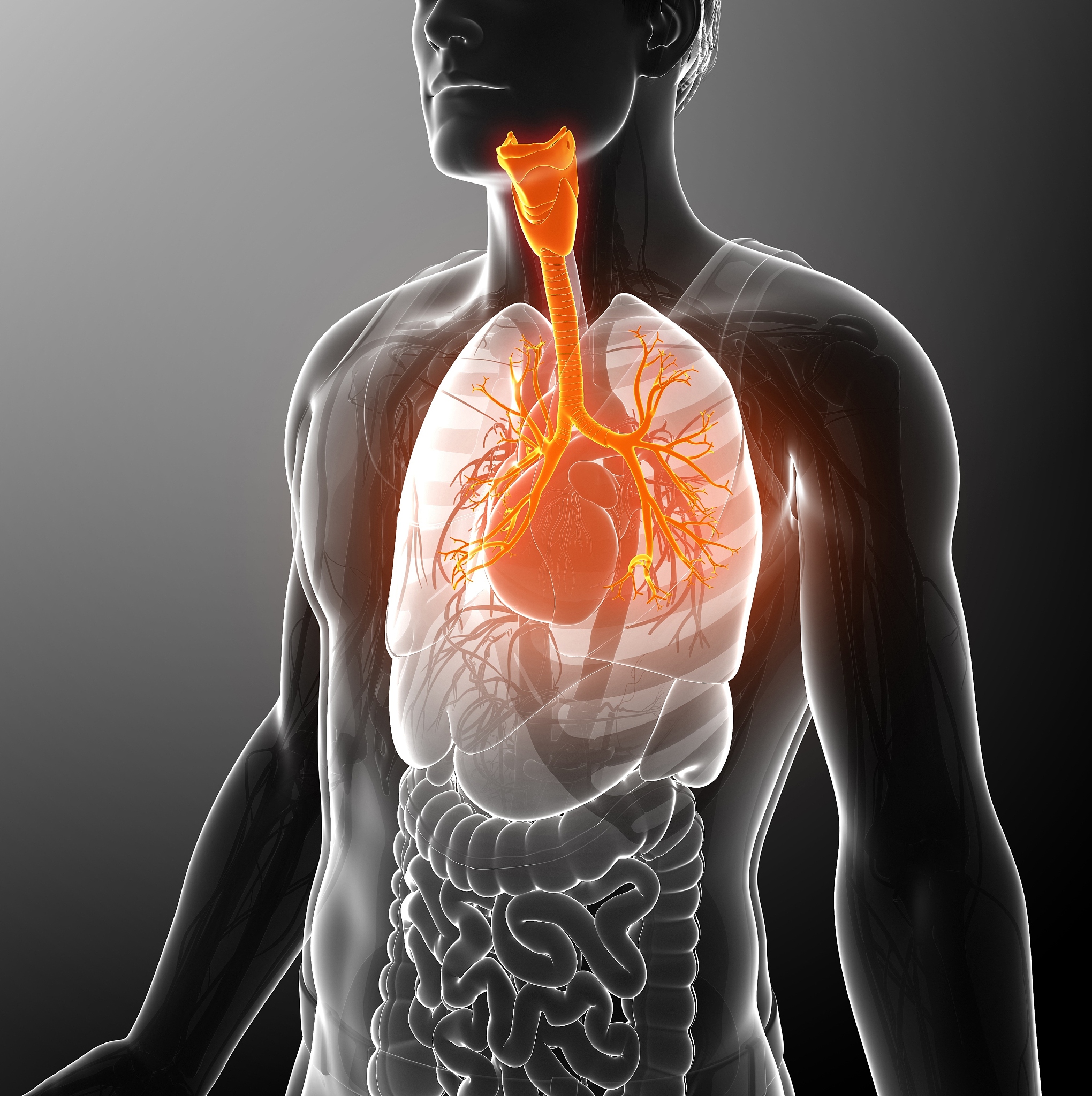 关于大气污染问题带来的危害写一篇论文不包括防治措施要求两千字