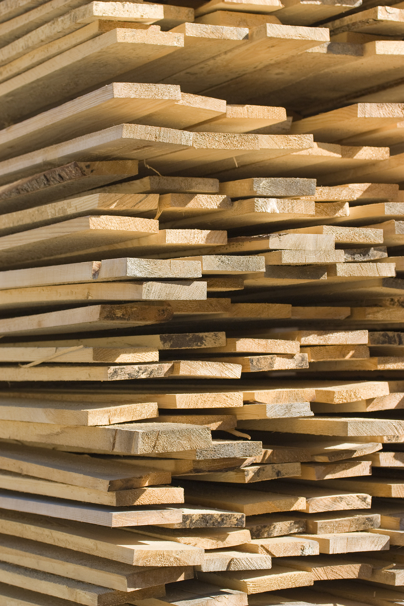 东北林业大学木材科学与工程专业就业前景分析 - 就业方向、发展趋势