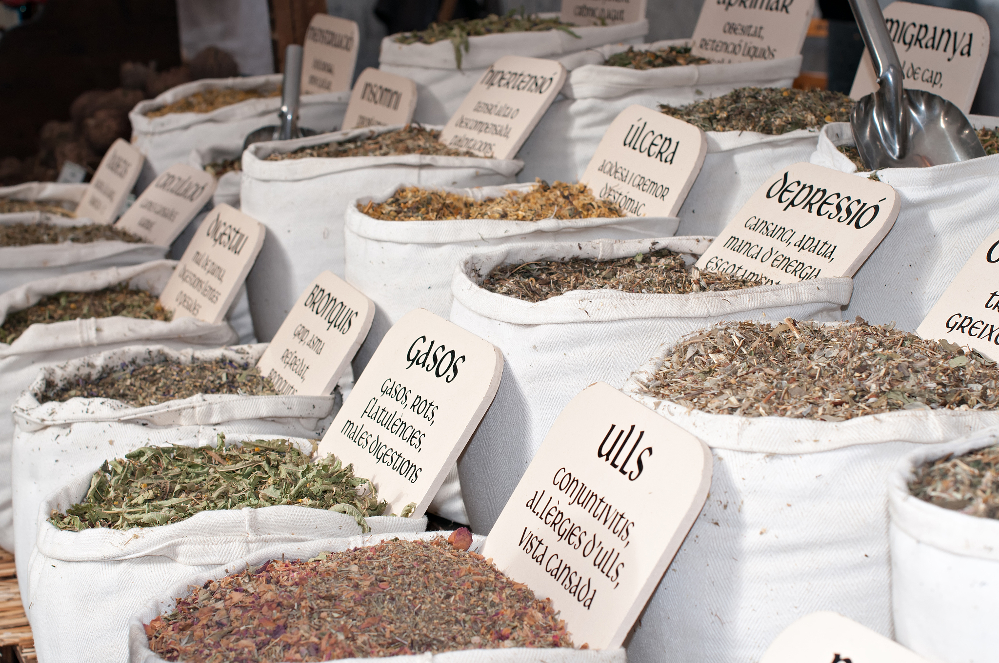 重庆卫校医学专业详解：临床、口腔、中医、针灸推拿方向介绍