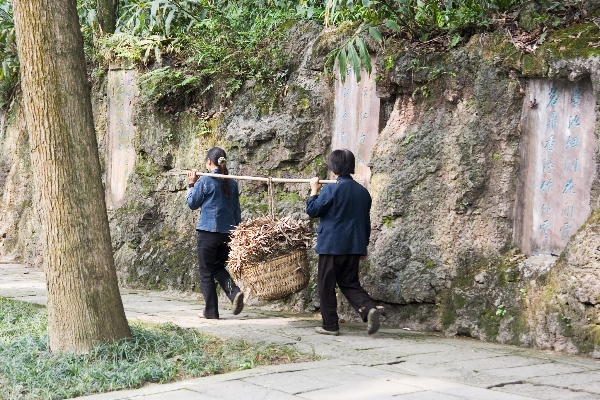 四川开设旅游管理专业的中专中职学校有哪些