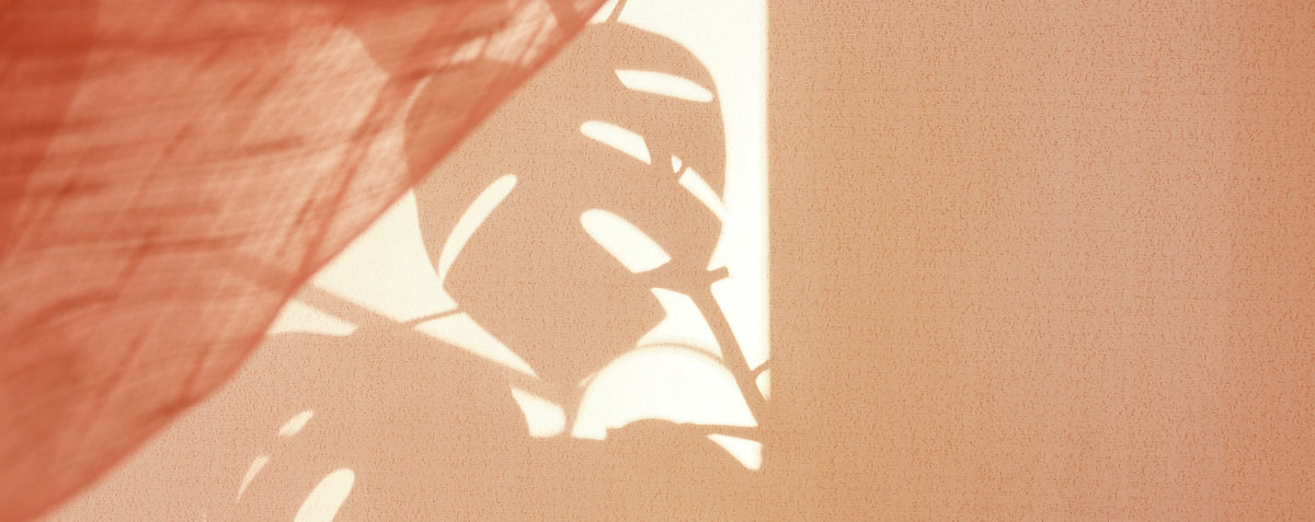 1200字关于初入摄影至少需要知道哪些美学知识？