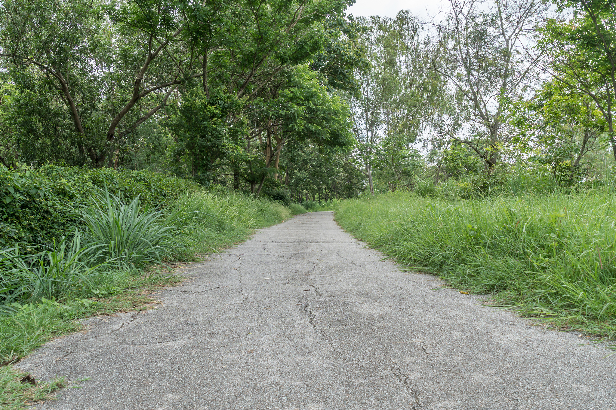 沥青路面再生技术发展史及现状