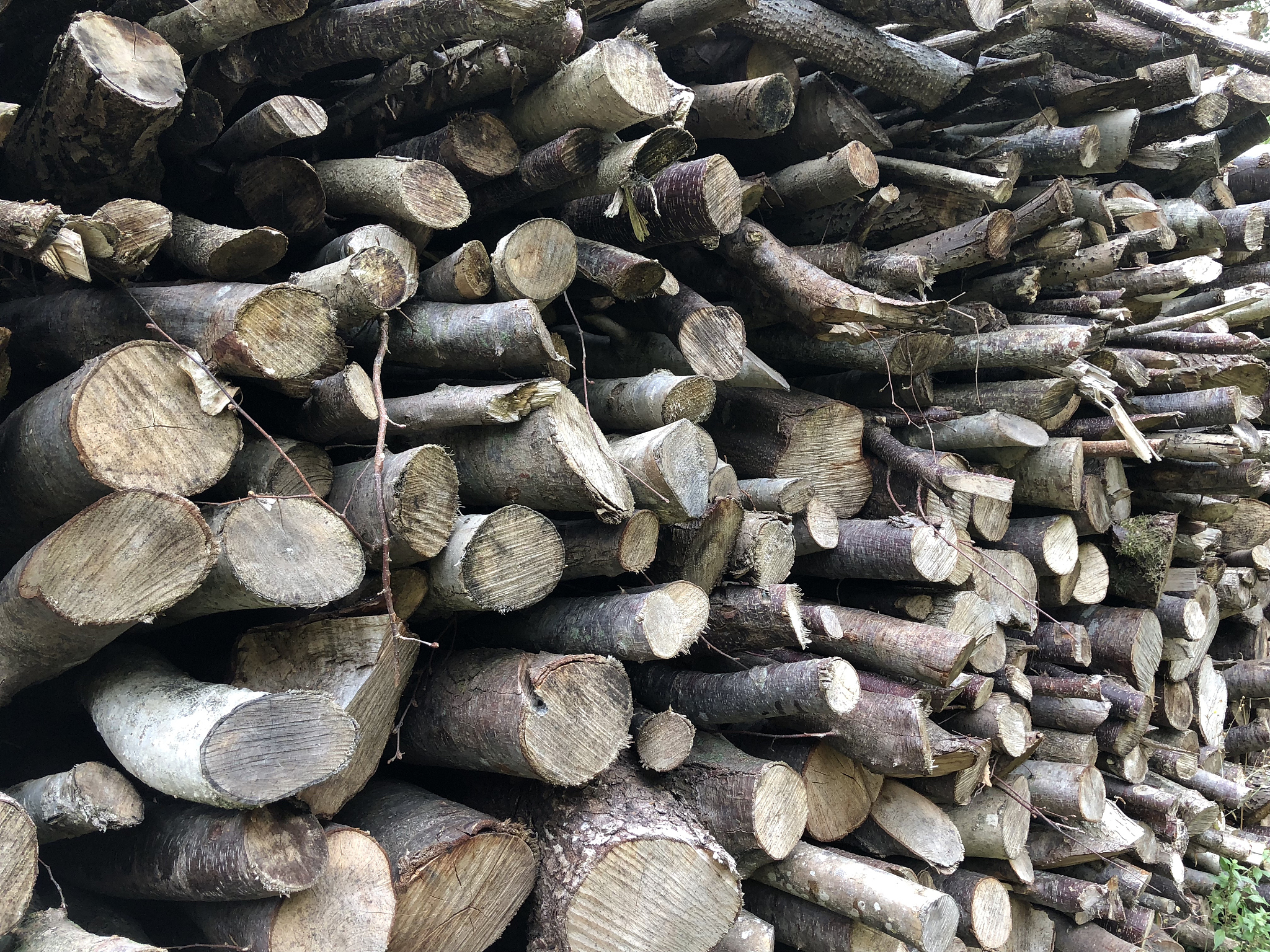 木质纤维在陶粒制备中的应用及优势