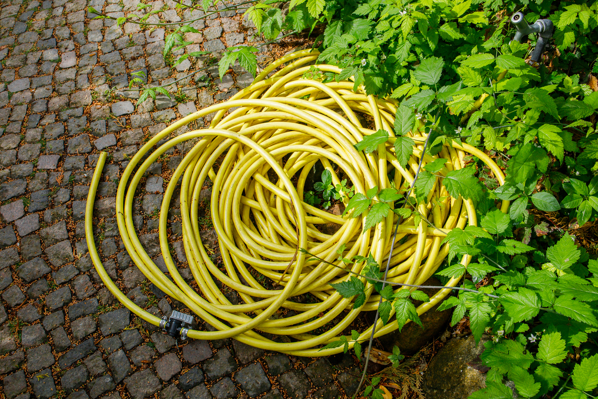 园艺技术专业介绍学习哪些课程