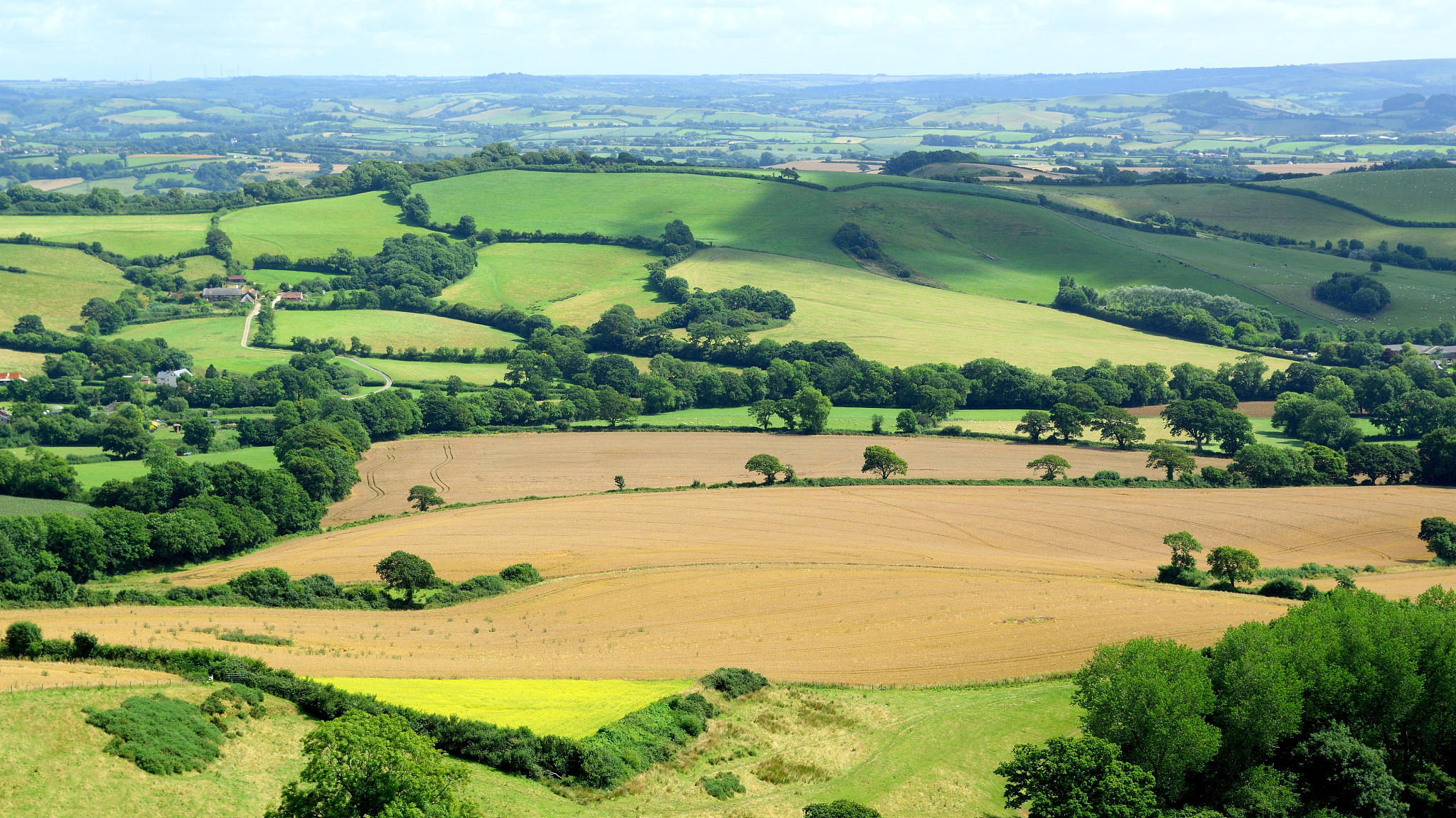 landscape