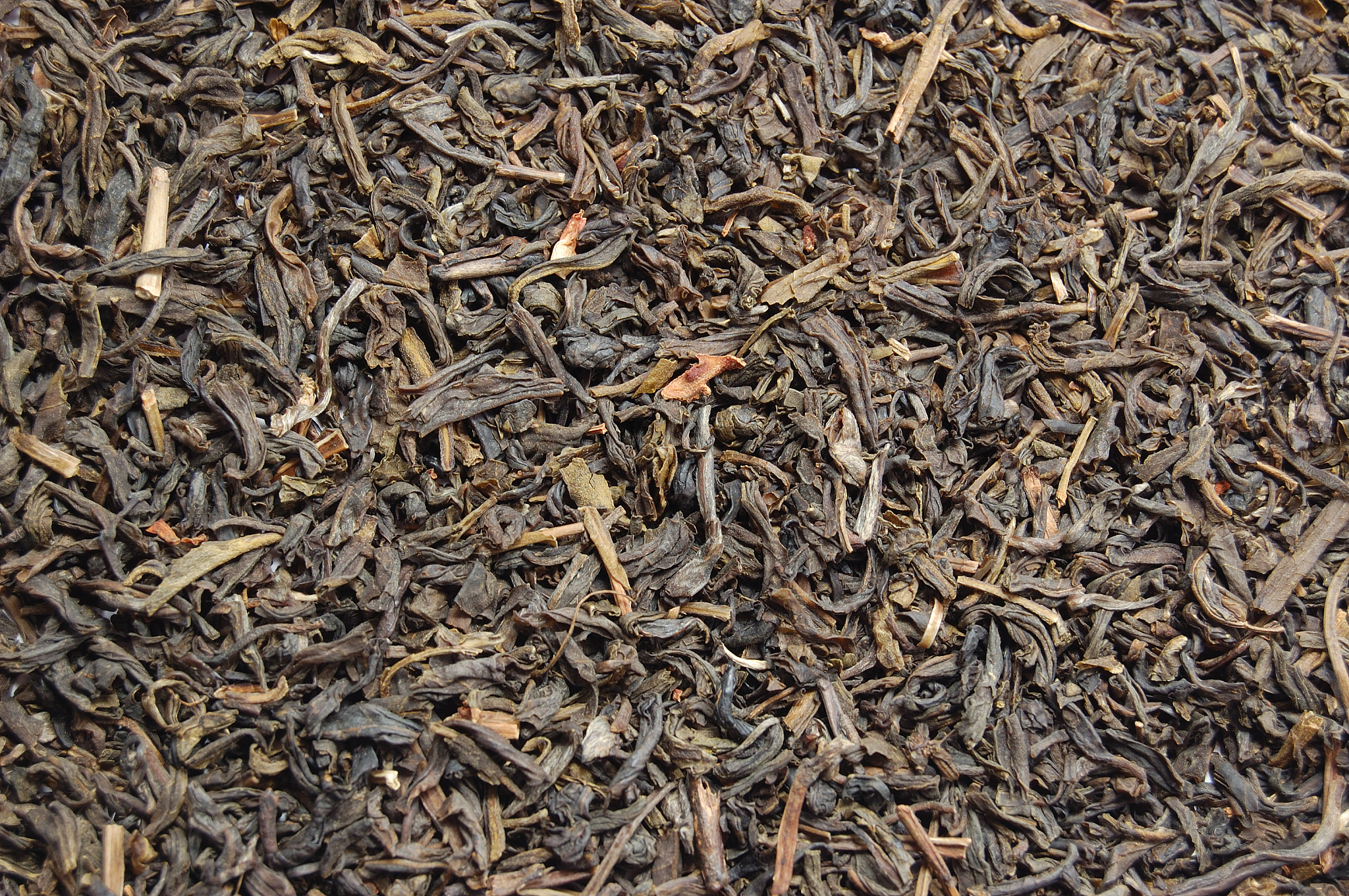 古树生普茶：茶中珍品，韵味独特