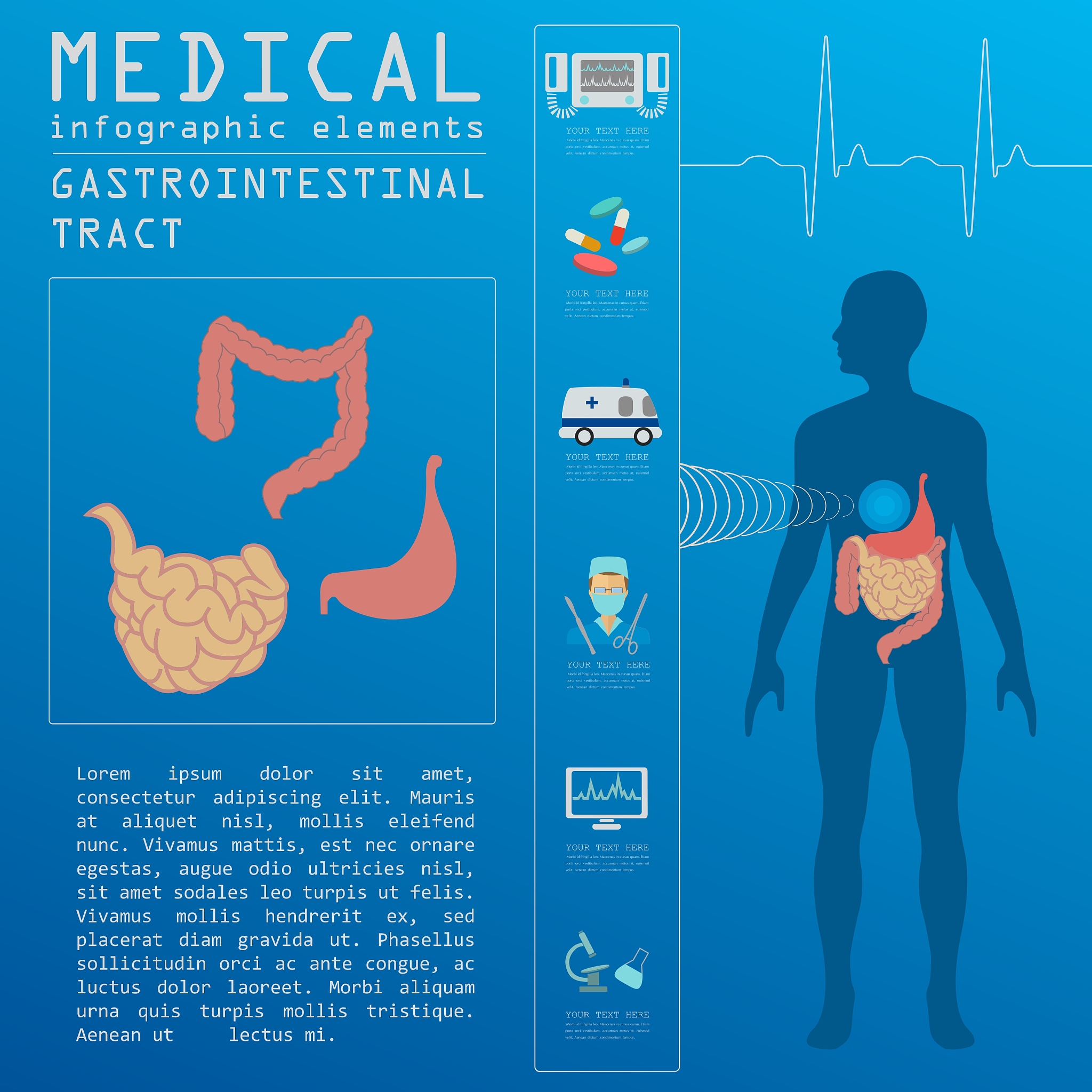 消化疾病与科学 (Digestive Diseases and Sciences) 期刊研究内容详解