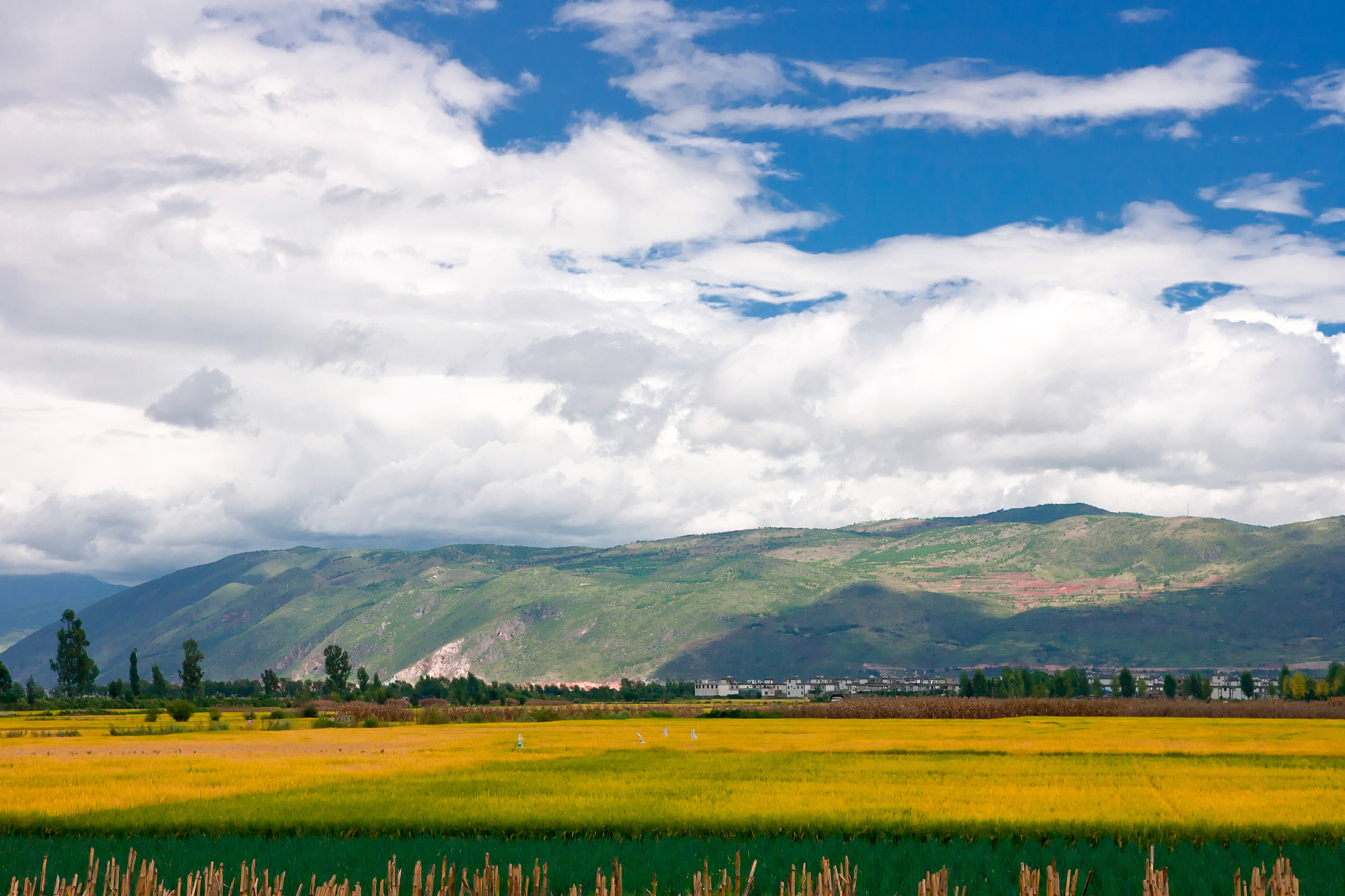 曲靖农业中等学校2019年五年制招生电话 - 云南省农业人才培养基地