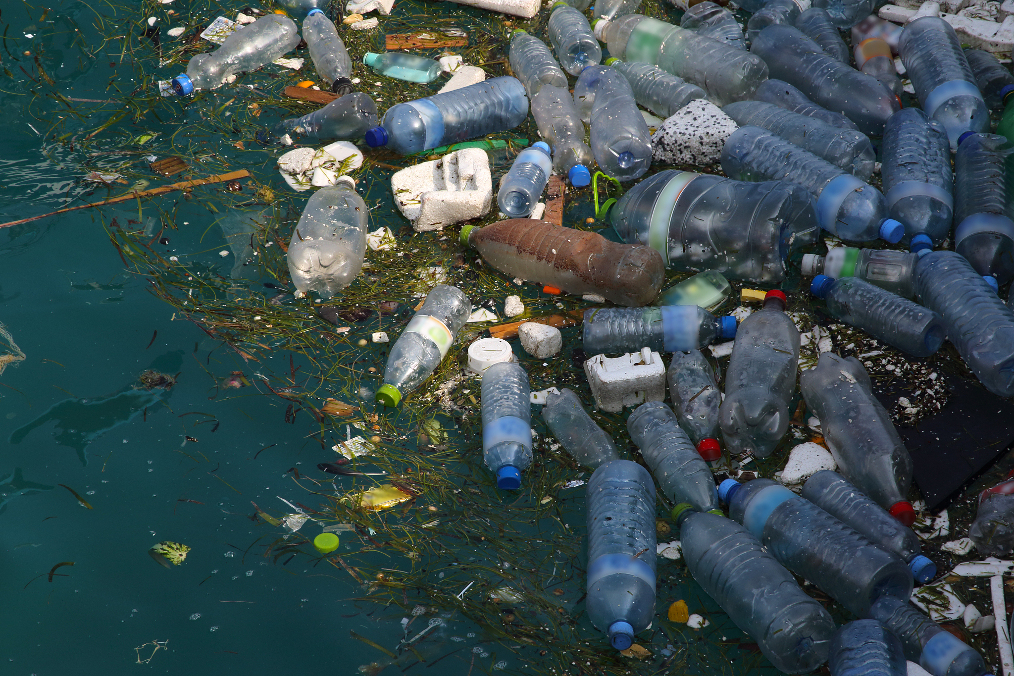 Marine Pollution Bulletin 期刊：了解和管理海洋污染的国际平台