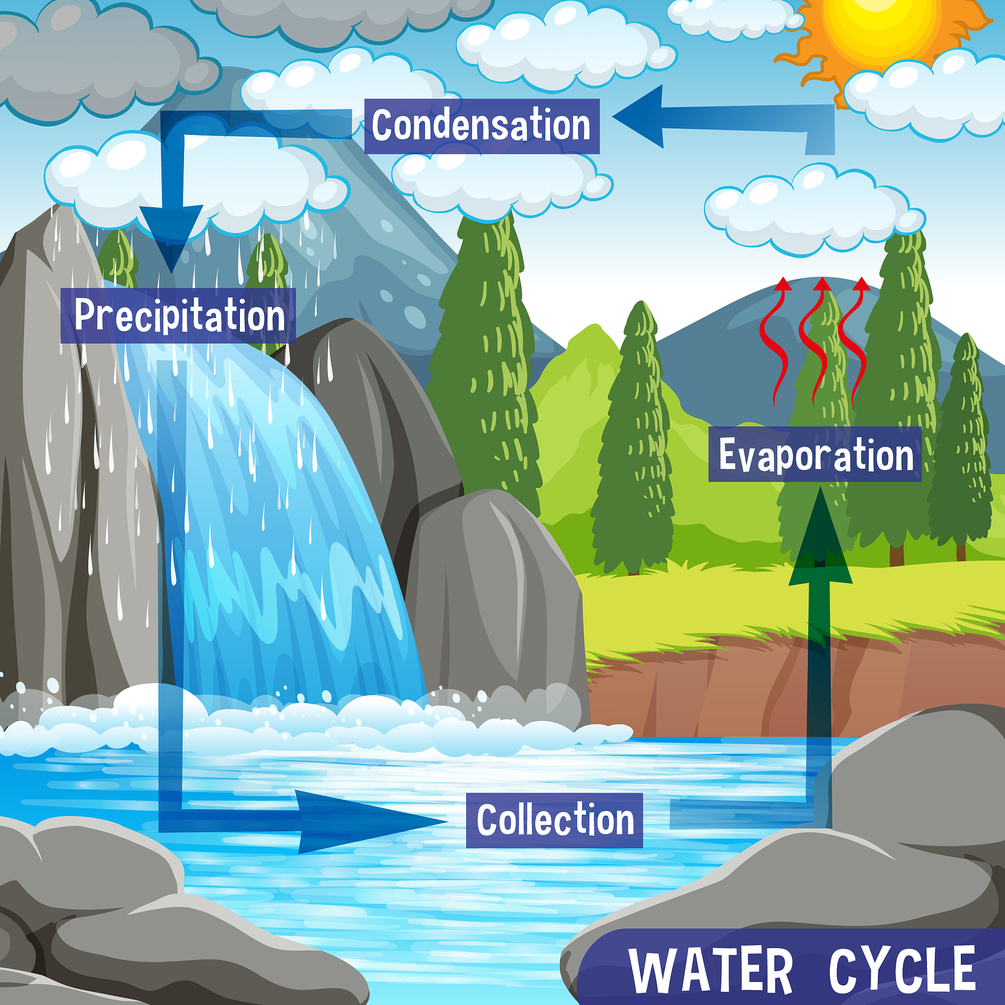 How to Conserve Water: Individual Solutions for Water Shortages
