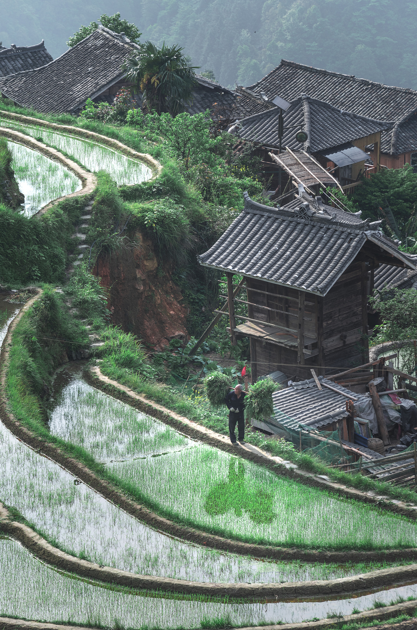 贵州省黄平县谷陇镇火车站村村委会 - 管理服务，助力乡村振兴