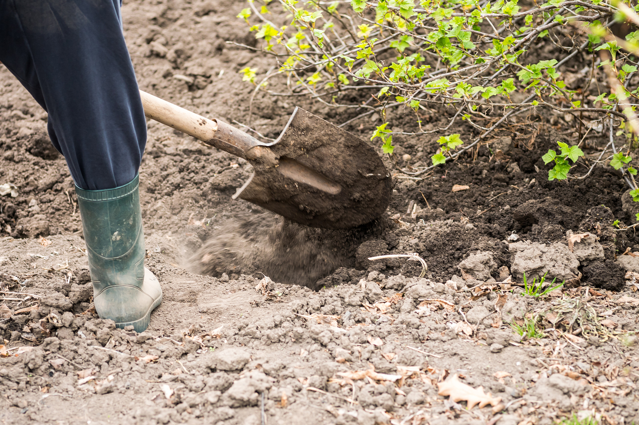 曲靖农业学校2019年五年制招生电话 - 报名信息及专业介绍