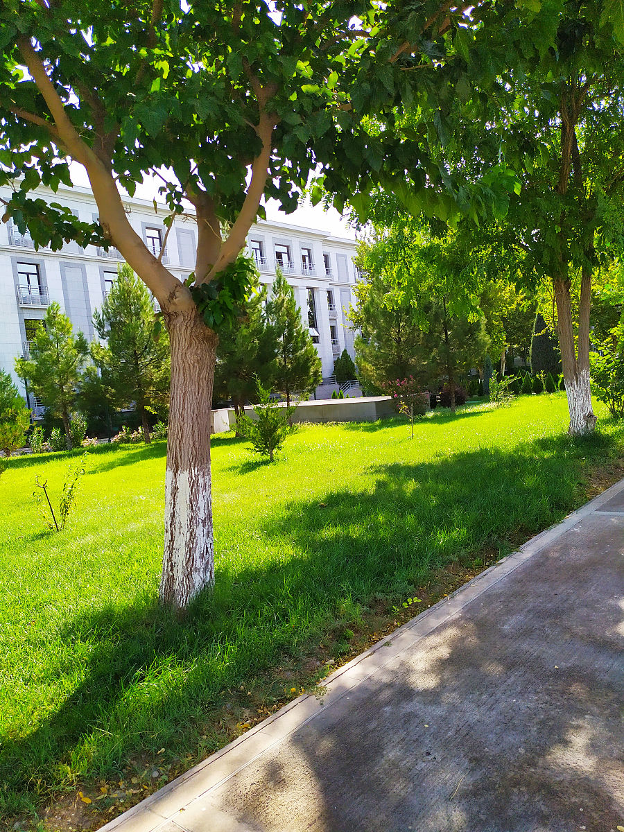 齐齐哈尔林业学校园林绿化专业：培养优秀园林人才，开拓广阔发展前景