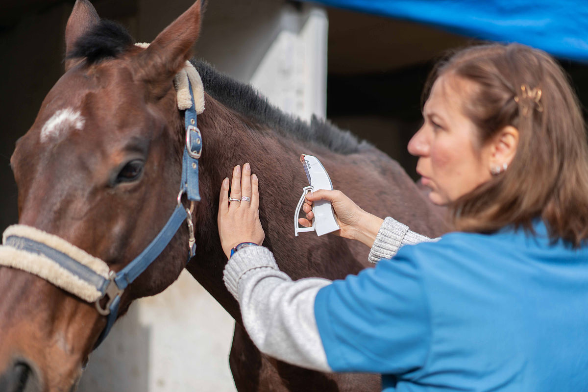 曲靖中兽医学校五年制大专招生 | 培养爱动物的你成为专业兽医