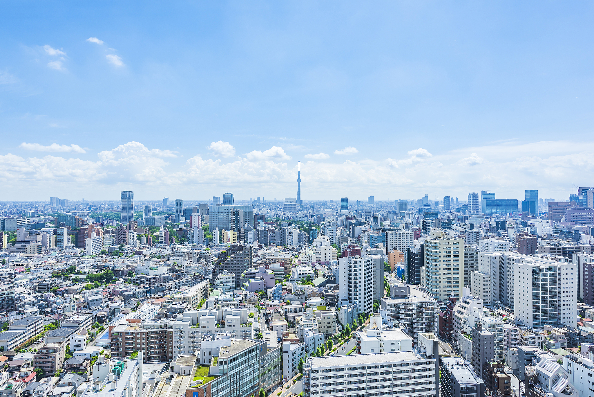 tokyo city skyline , japan.