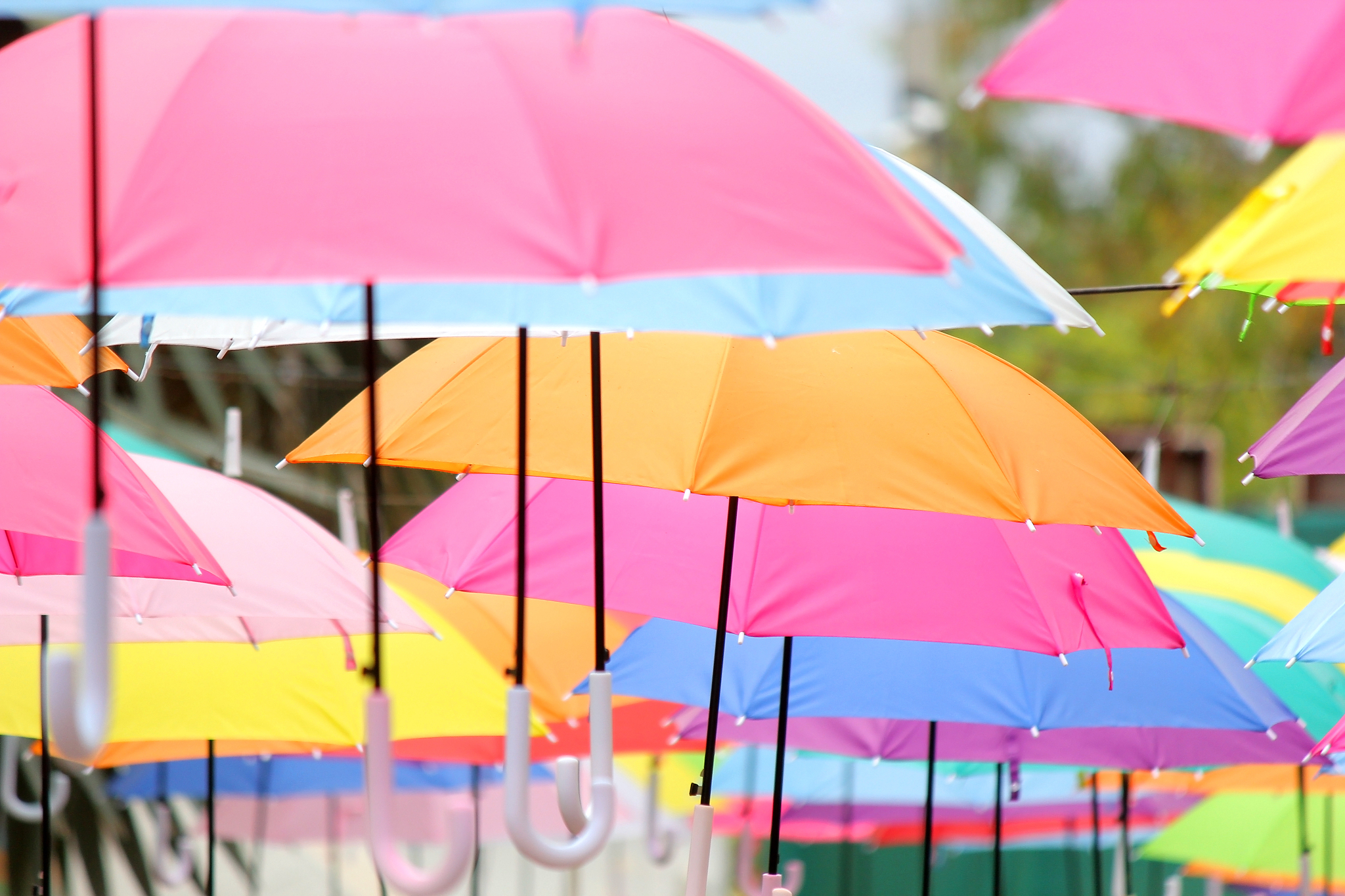 colorful umbrella street decoration