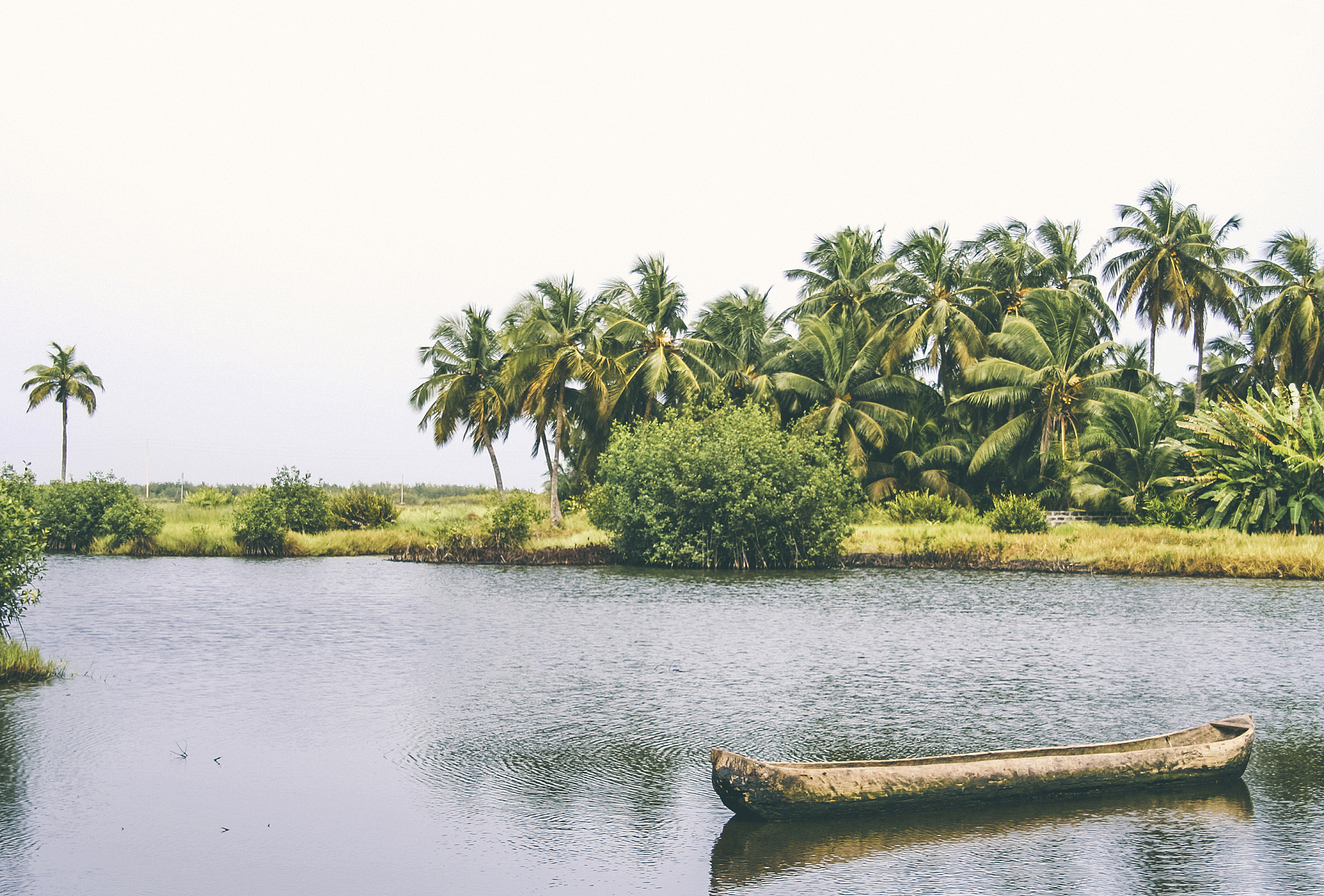african lagoon.