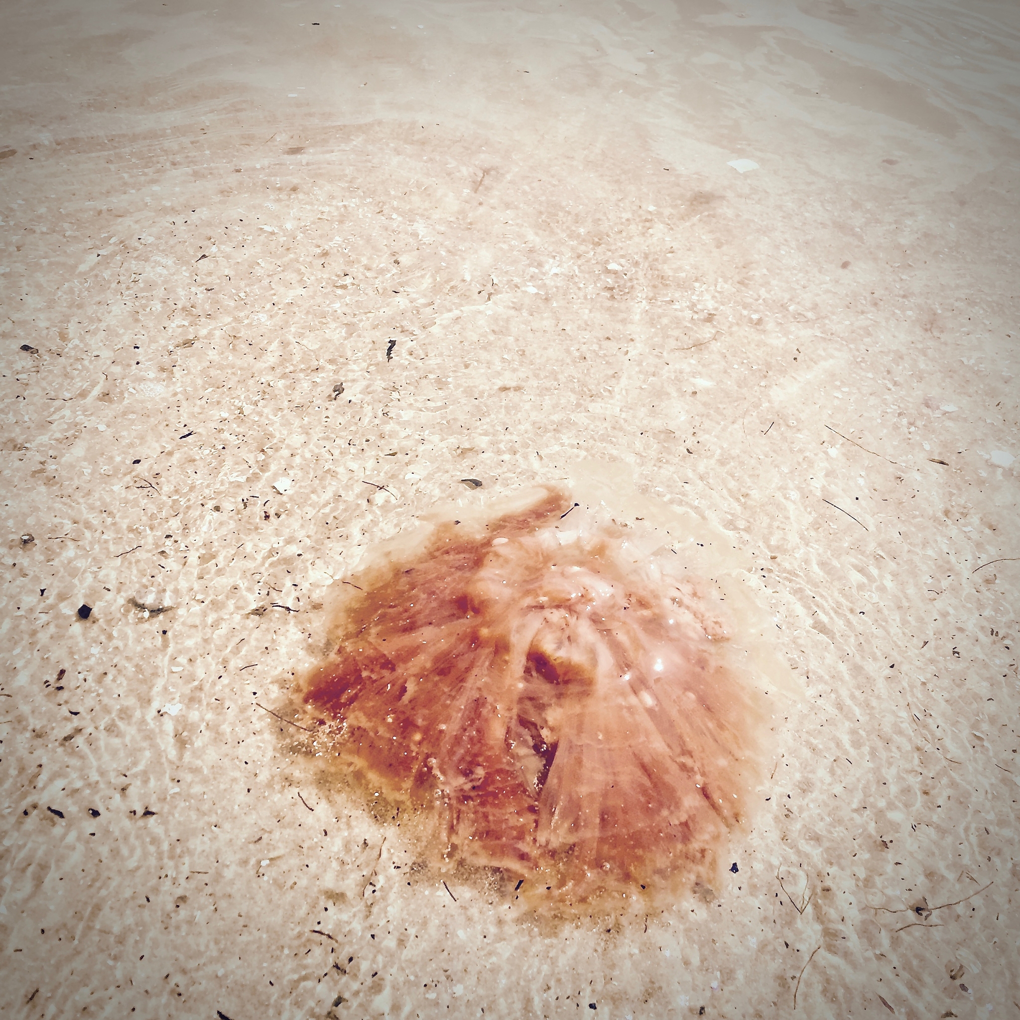 答辩PPT里关于诗山镇环境分析应该怎么写