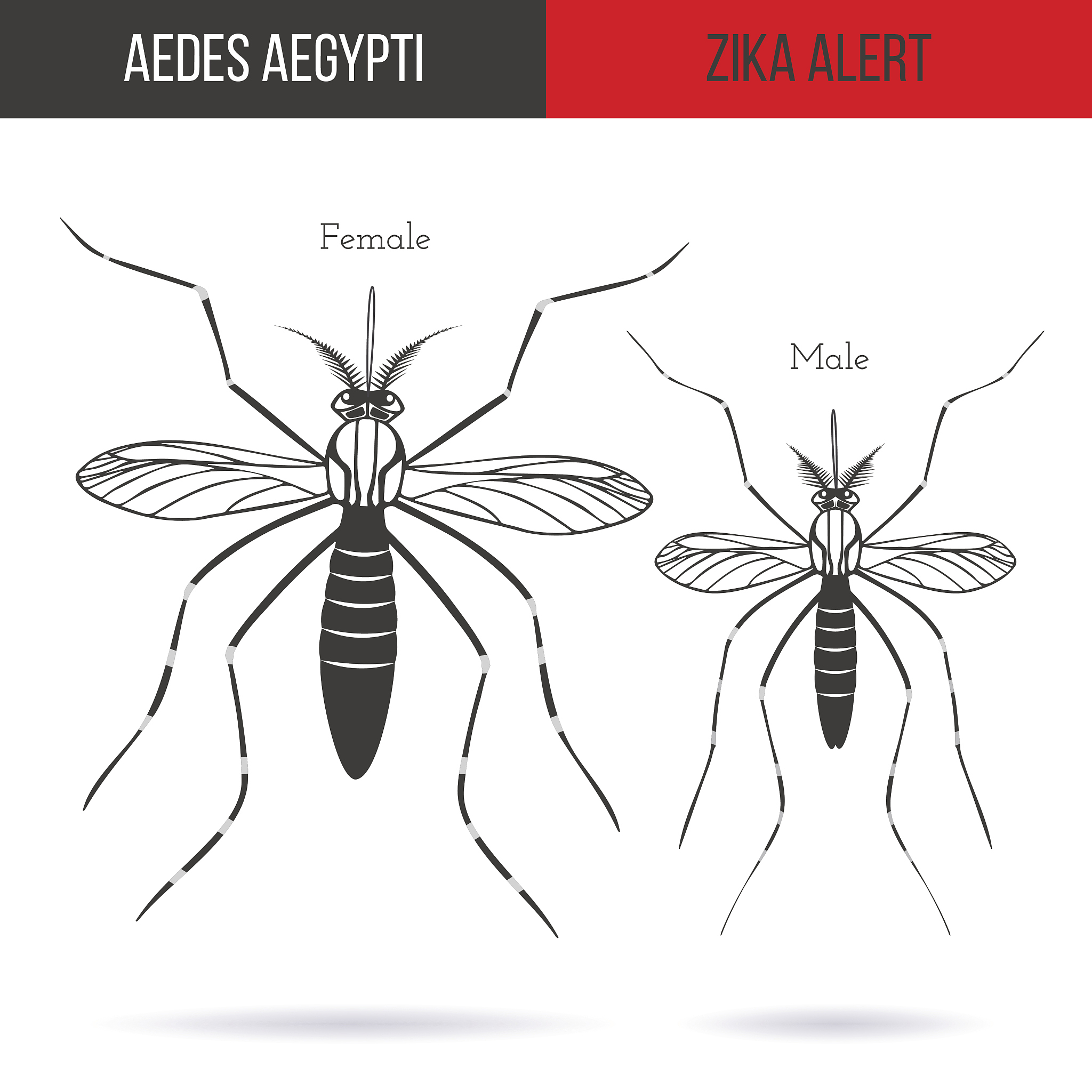 INTERNATIONAL JOURNAL OF PEST MANAGEMENT: 全球害虫管理研究和应用领先期刊