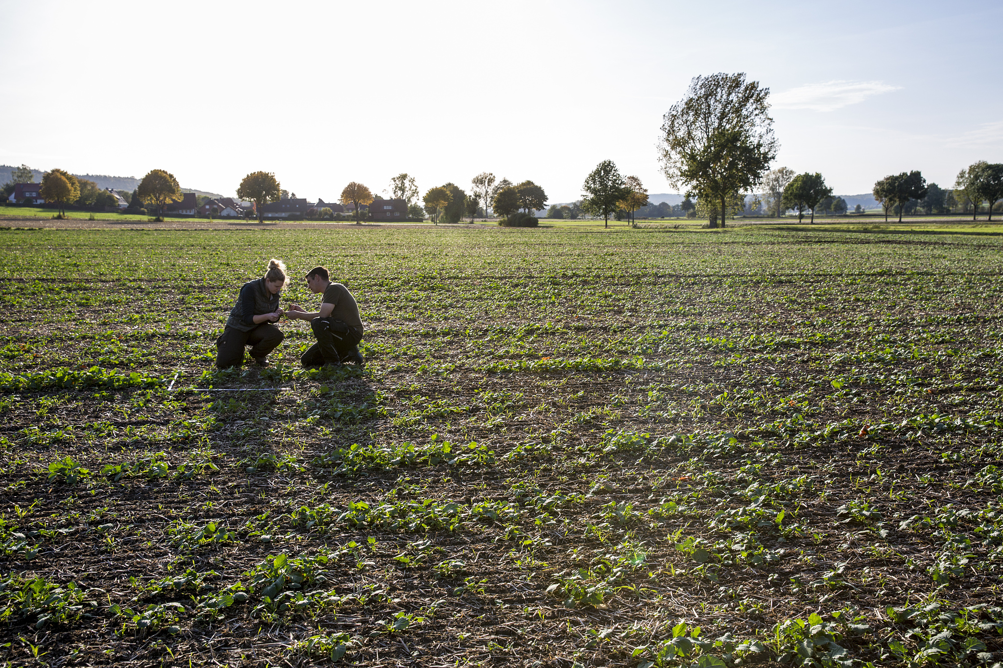 重庆市农业机械化学校招生专业