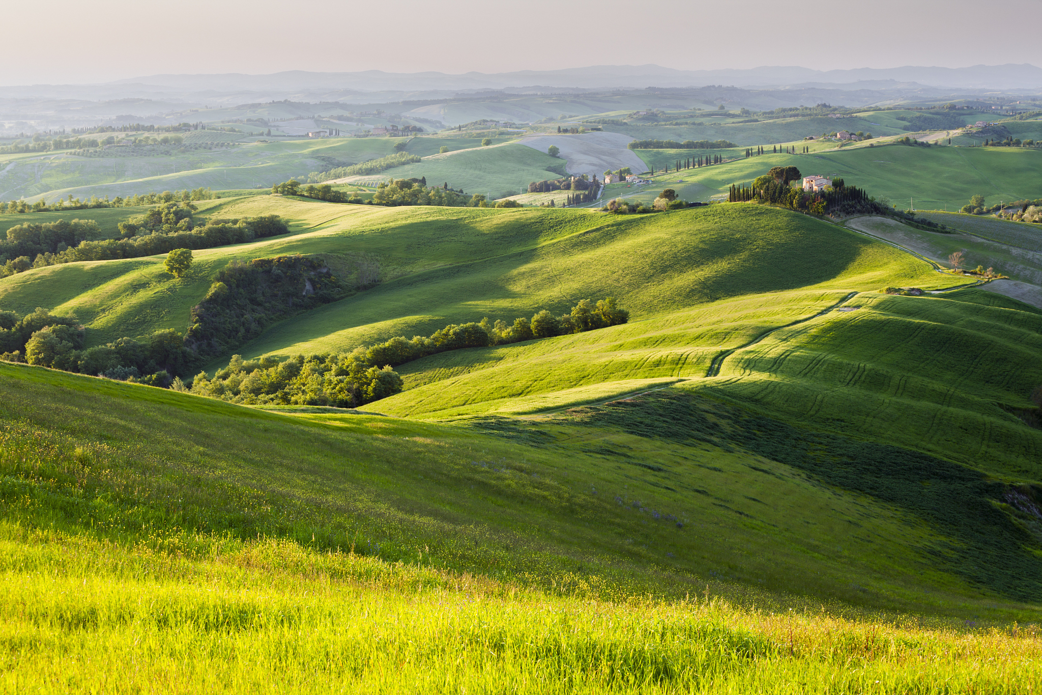 tuscan landscape