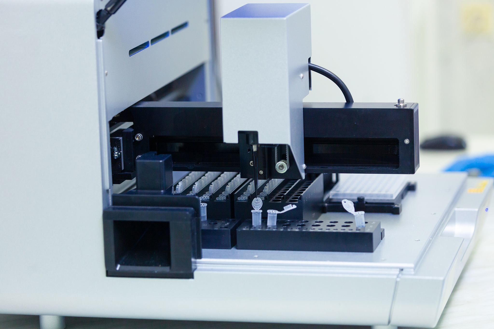 BSL-1 实验室是否适合培养组氨酸营养缺陷型鼠伤寒沙门氏菌？