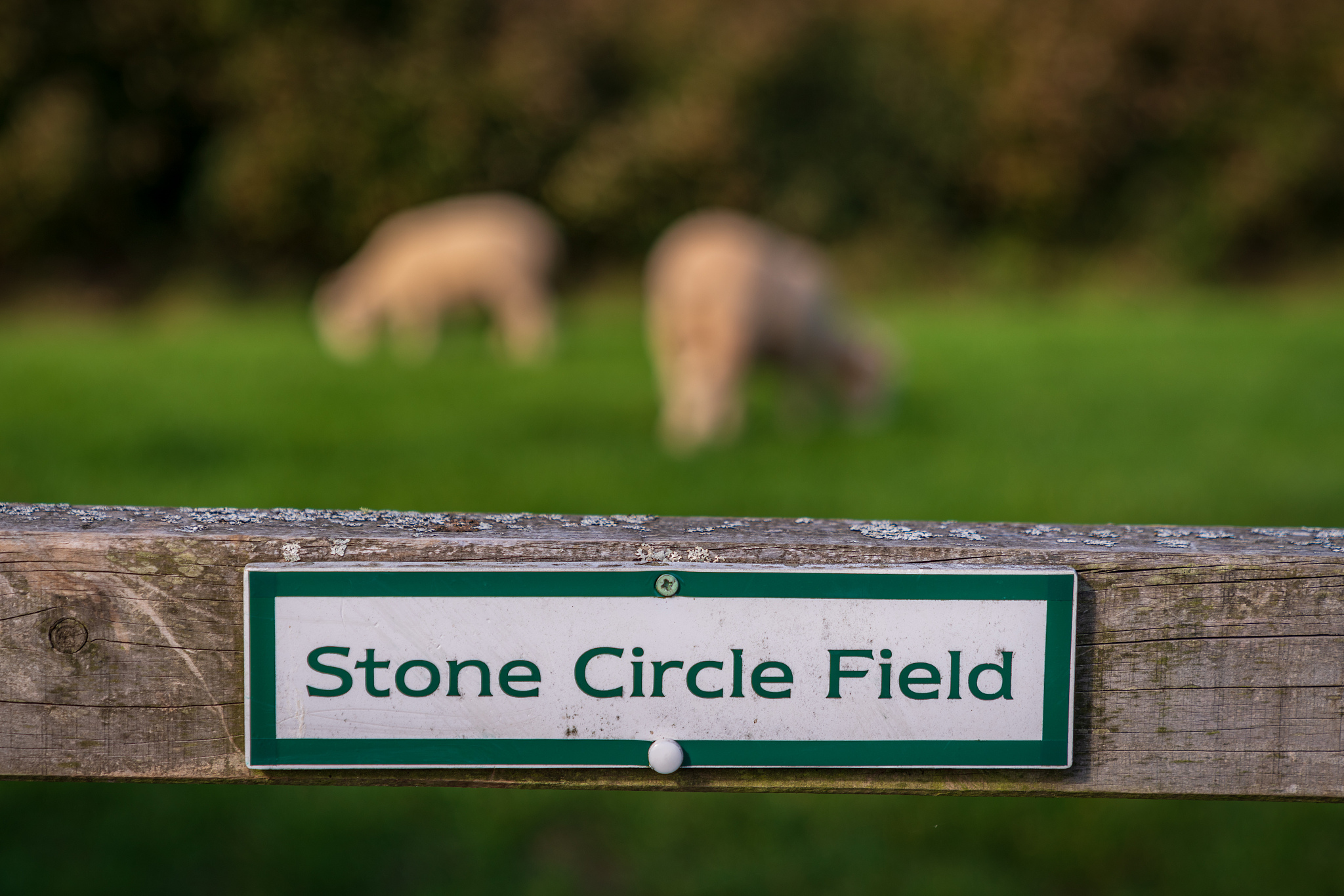 Intensive Farming May Be Better for Biodiversity, Study Finds